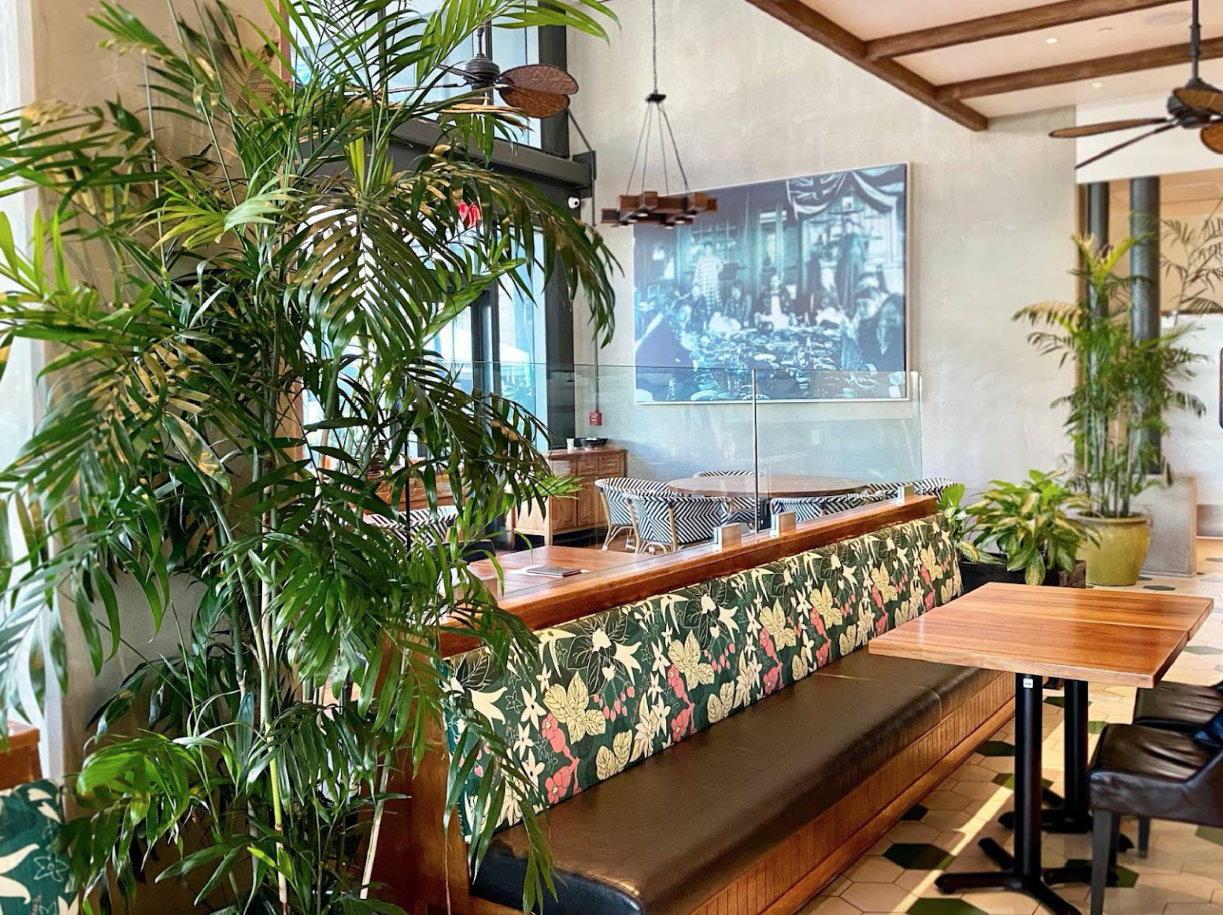 Screen Shot 2022-01-31 at 1.30.06 PM.png