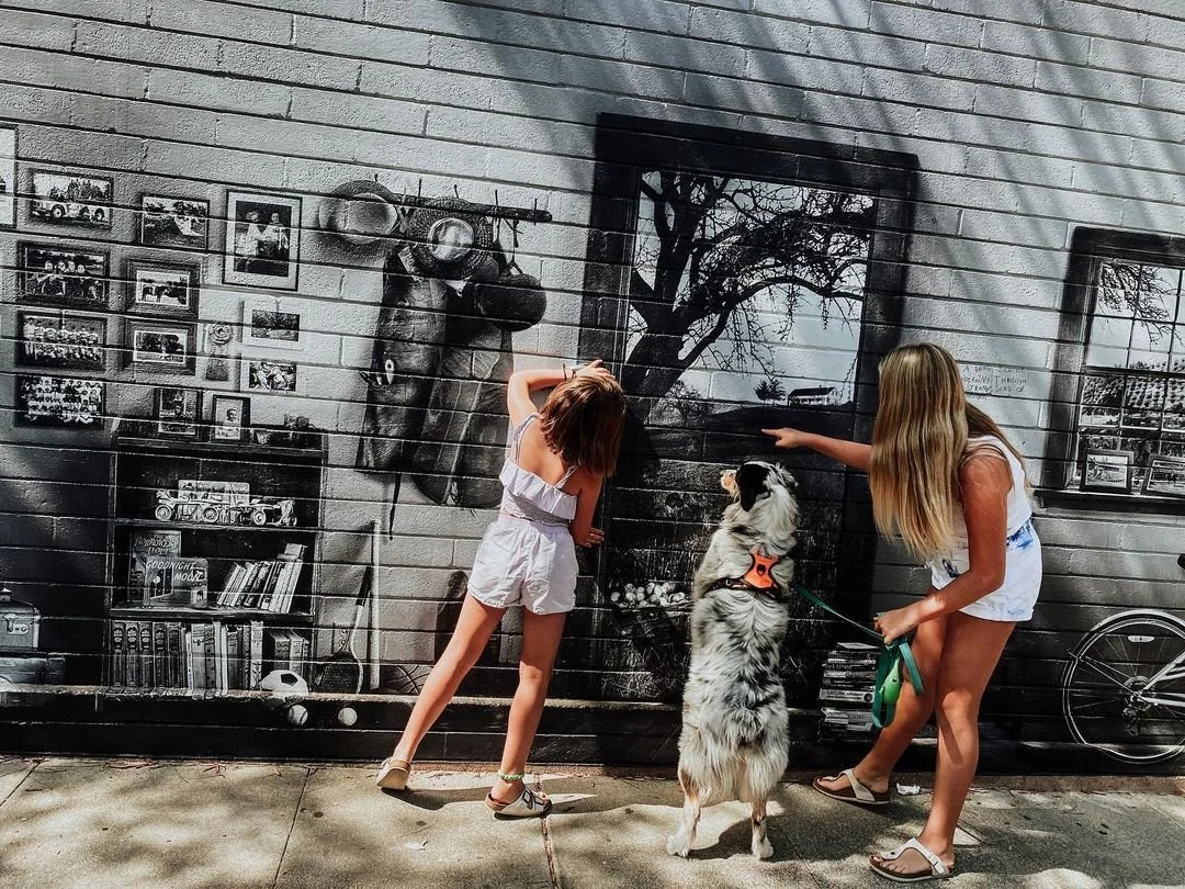 Arts Los Altos Photo Contest 2nd place.jpg