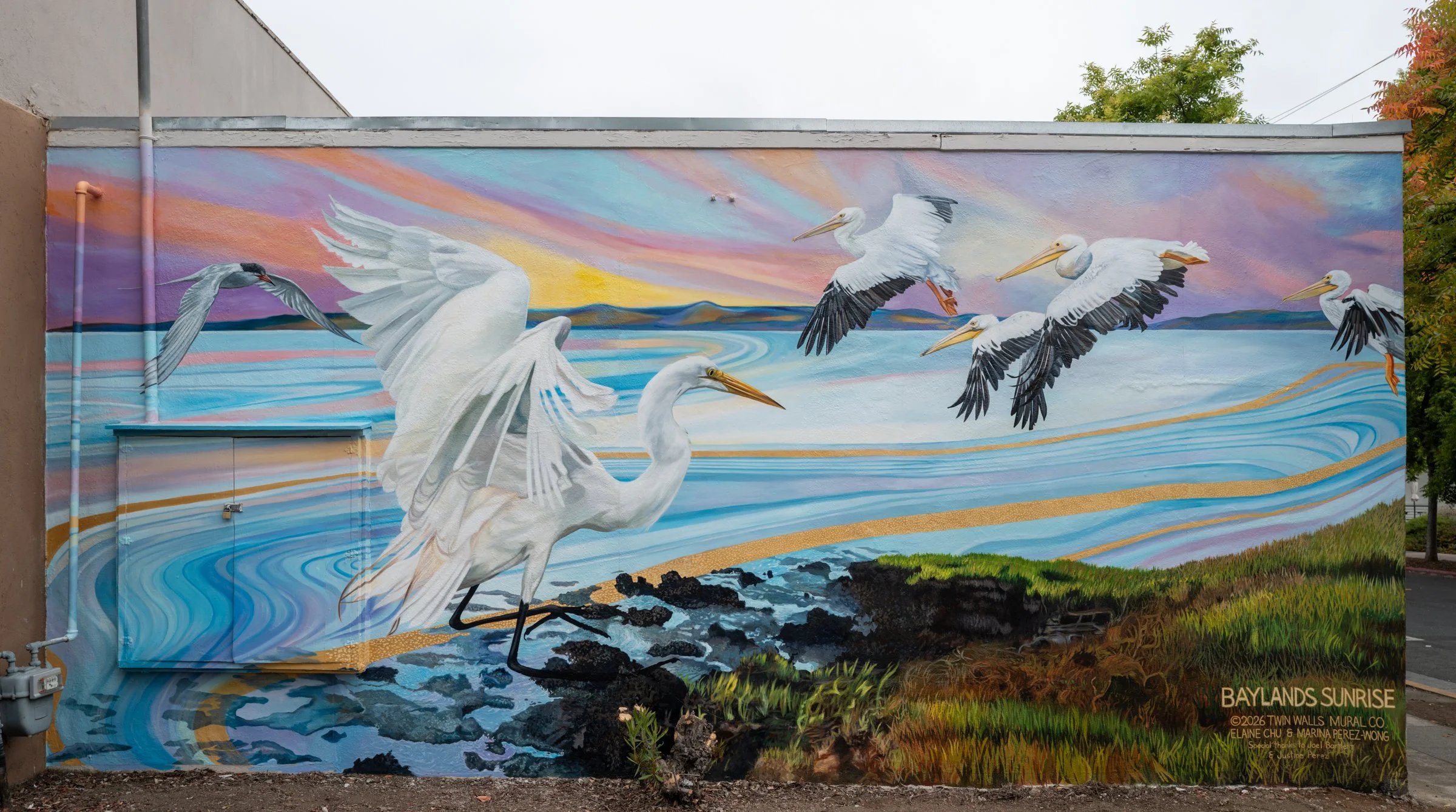 Q1004505-final-mural-sized.jpg