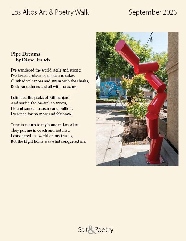 PipeDreams-Brauch.jpg