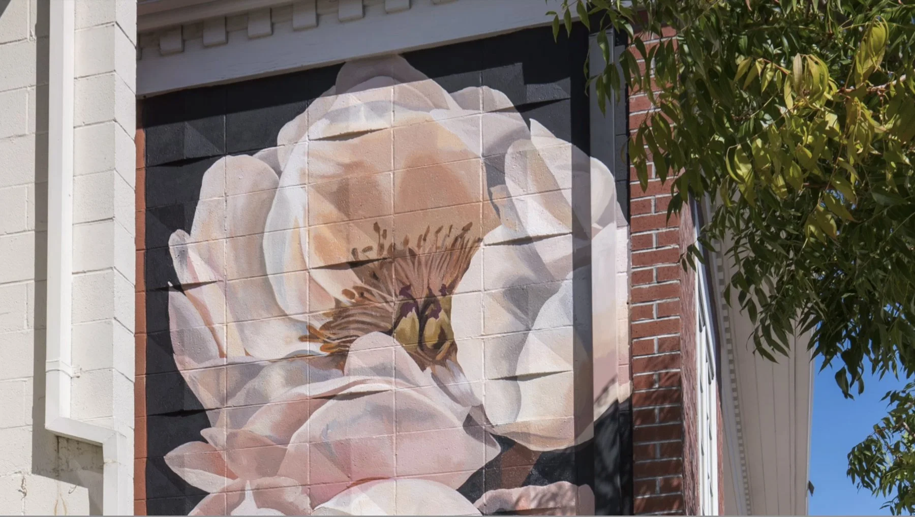 ALA Web Banner V4 1st Frame.jpg