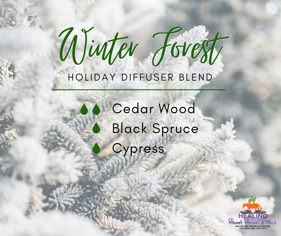 12 Scents of Christmas: Day 1