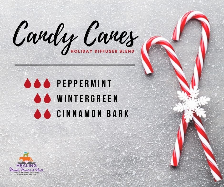 12 Scents of Christmas: Day 5