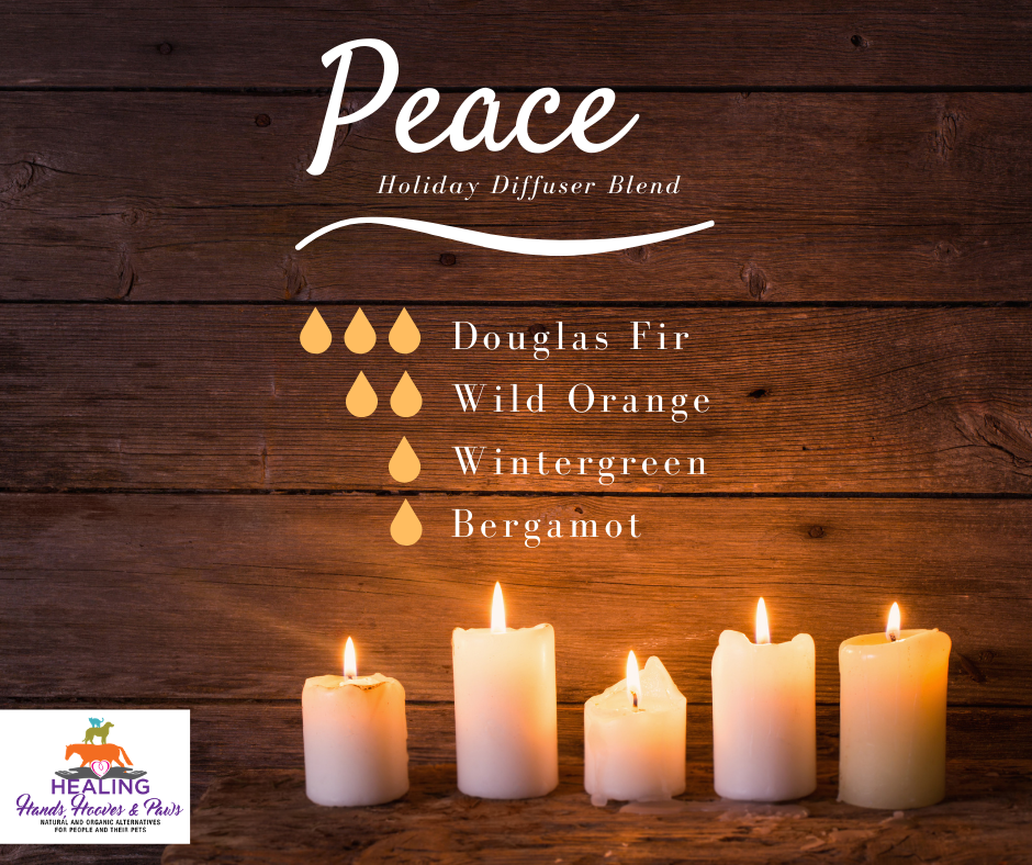 12 Scents of Christmas: Day 12