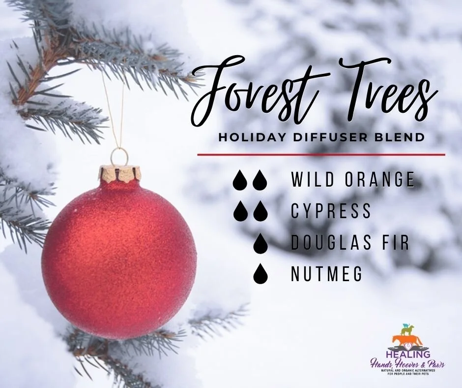 12 Scents of Christmas: Day 8