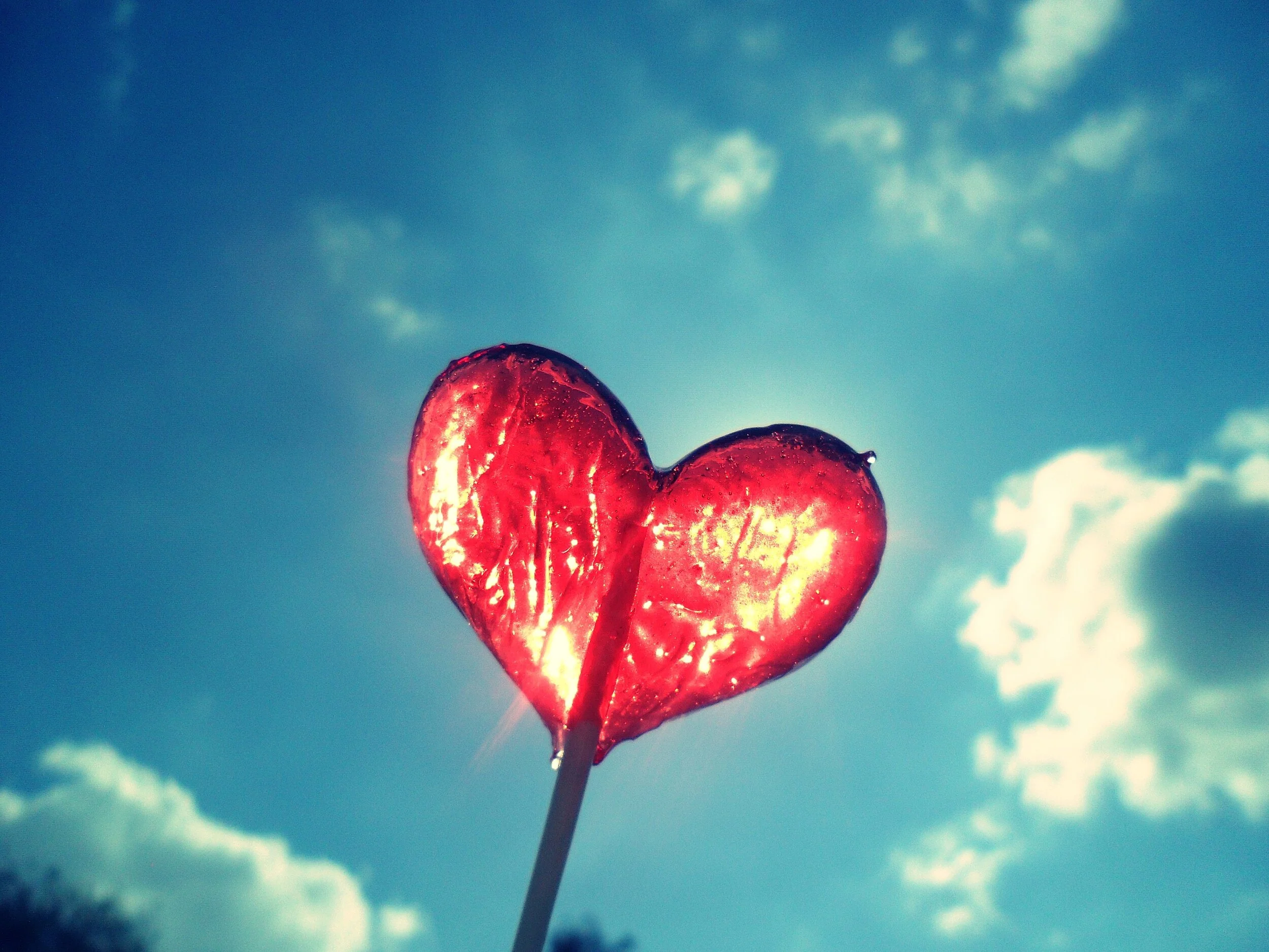 Sweet Treats for Your Furry Valentine