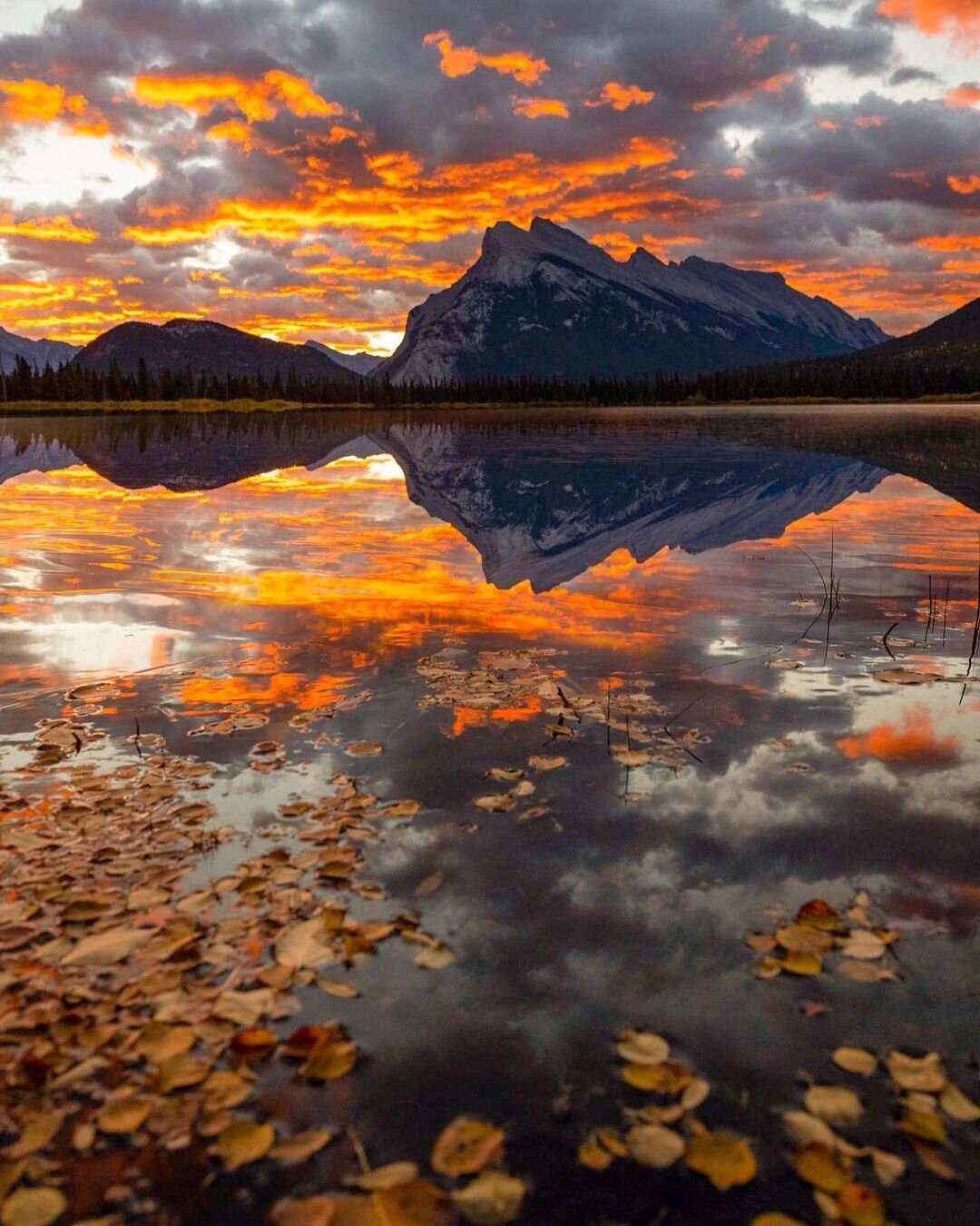 @swissclick_photography is making us dream of crisp fall days already... 🍂⁠
📍Vermillion Lakes, Alberta, Canada⁠
⁠
#aluminyzeit #aluminumprinting #handcrafted #uniquegifts #personalized #metalprint #decor #homedecor #officedecor