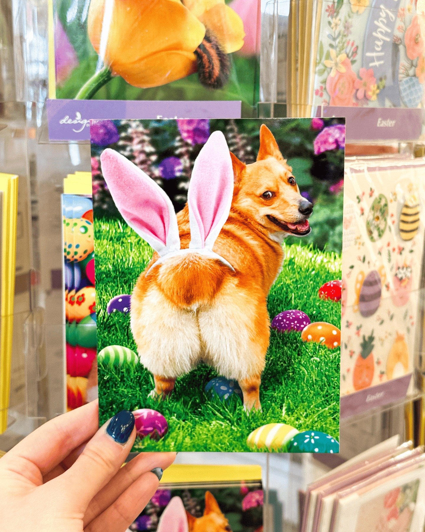 Easter cards this cute? Kind of hard to pass up. 🐰💌

From sweet and sentimental to a little cheeky, we&rsquo;ve got cards for every bunny on your list. Stop in and grab your favorites before they disappear. 🌷

#EasterCards #Easter2026 #EasterGreet