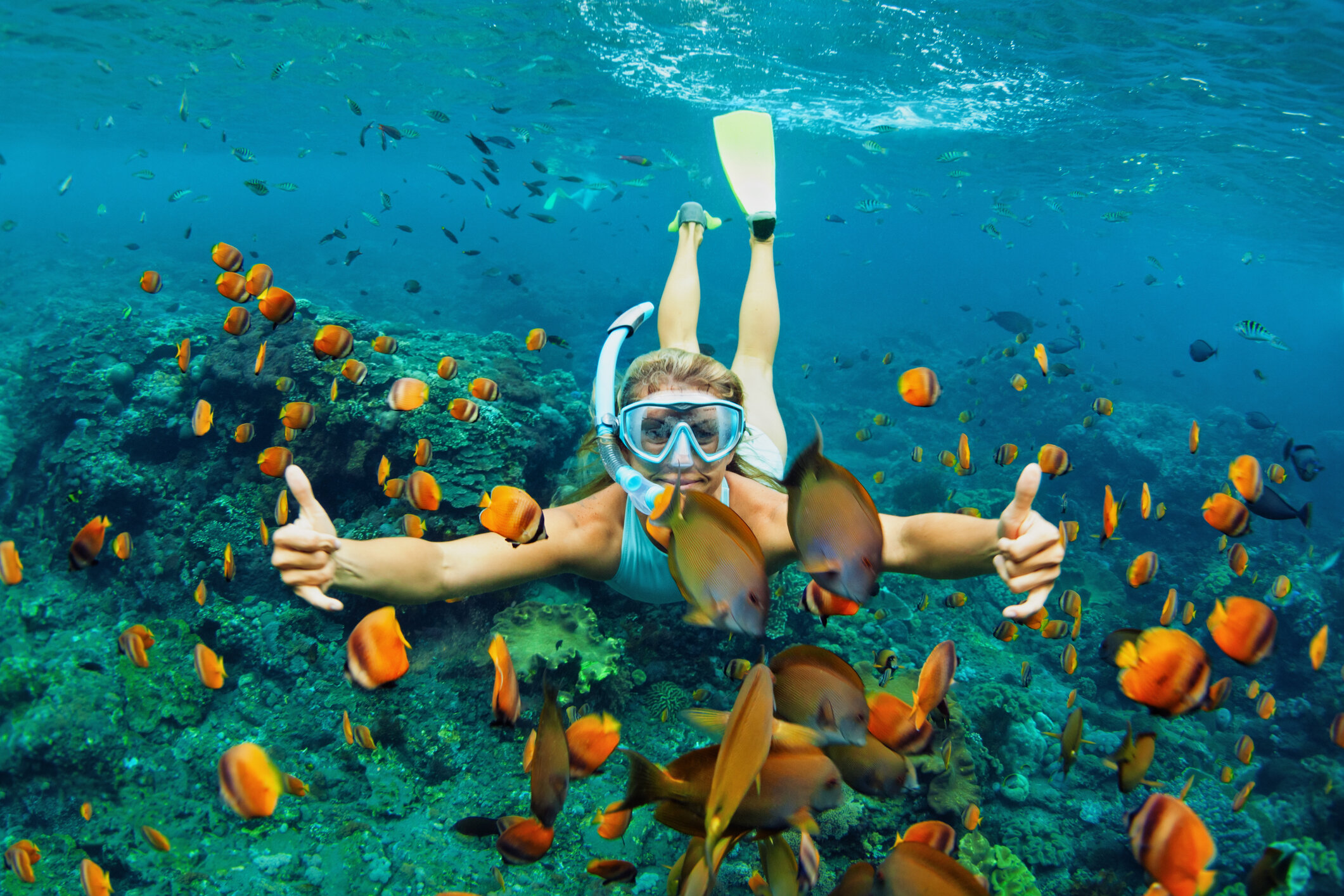 * Oahu Morning Calm Snorkel 