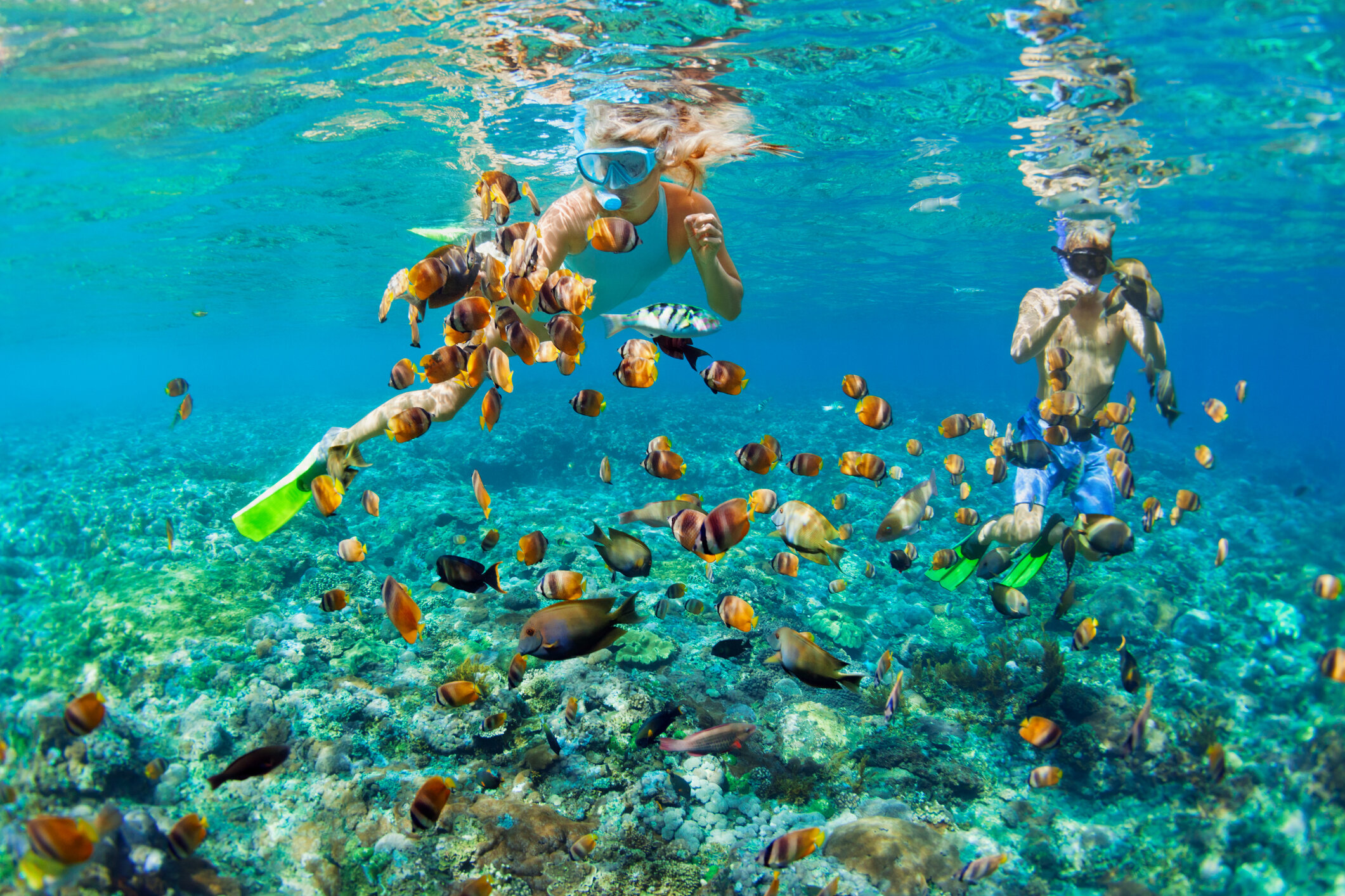 Maui Discover Lanai Sail Snorkel 🌱 