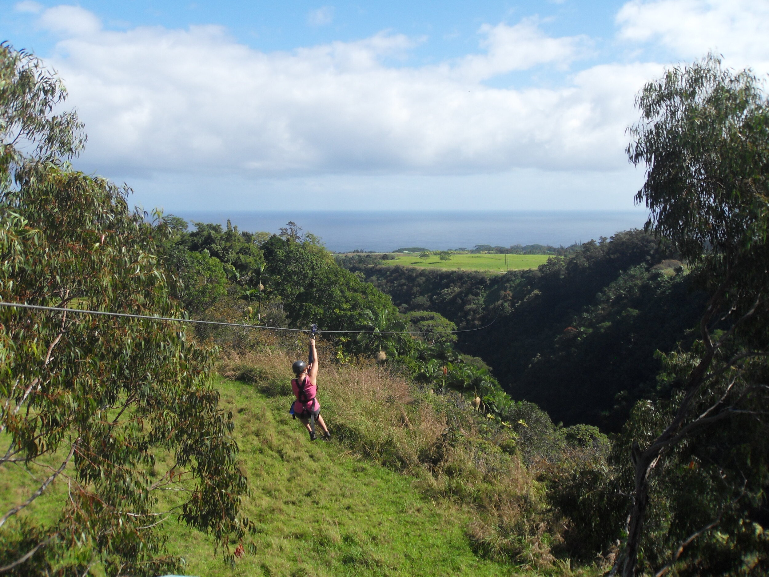 Akaka Falls Zipline (call to book)