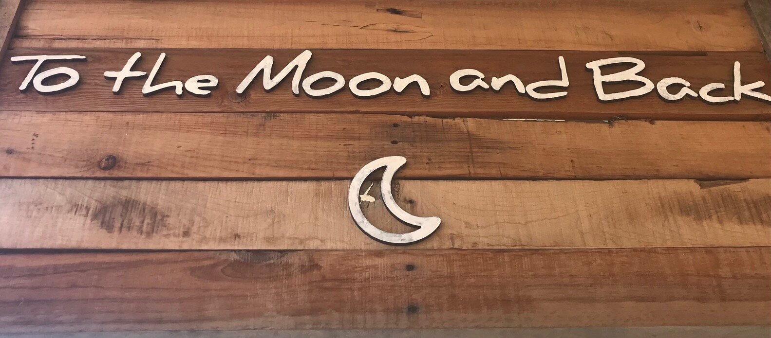 To the Moon and Back 