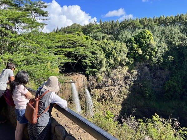 Kauai Private Waterfalls &amp; Backroads Sightseeing 