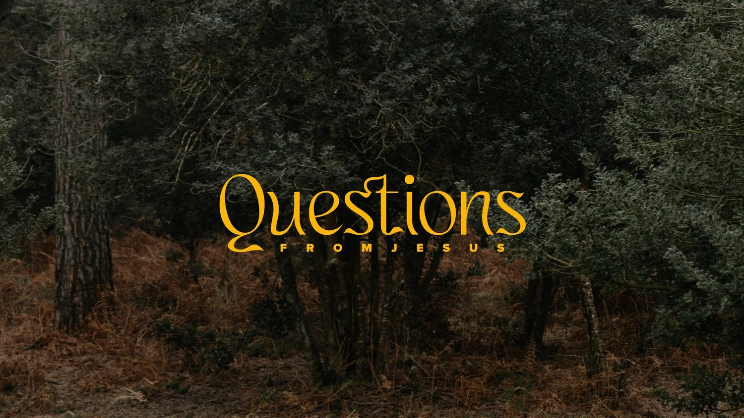 Have You Never Read? episode artwork
