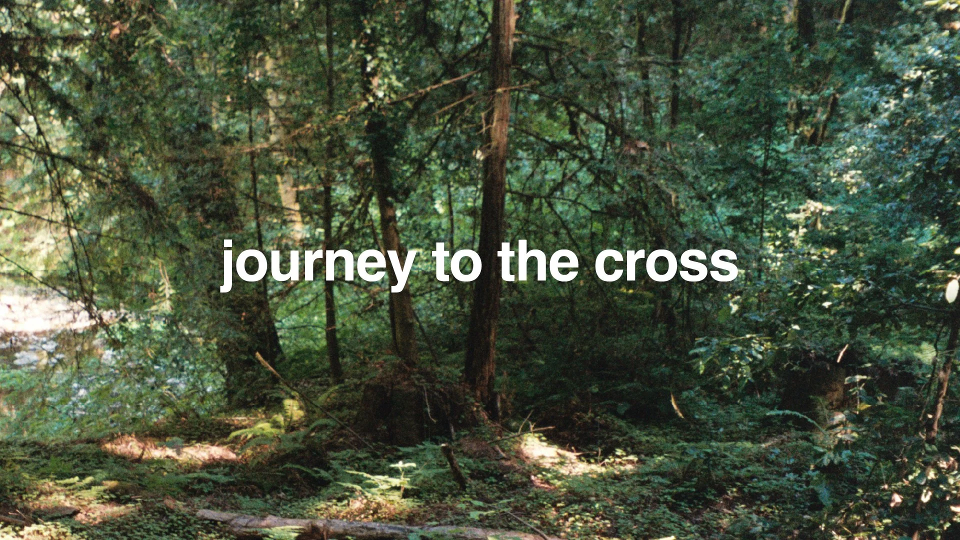 Journey to the Cross