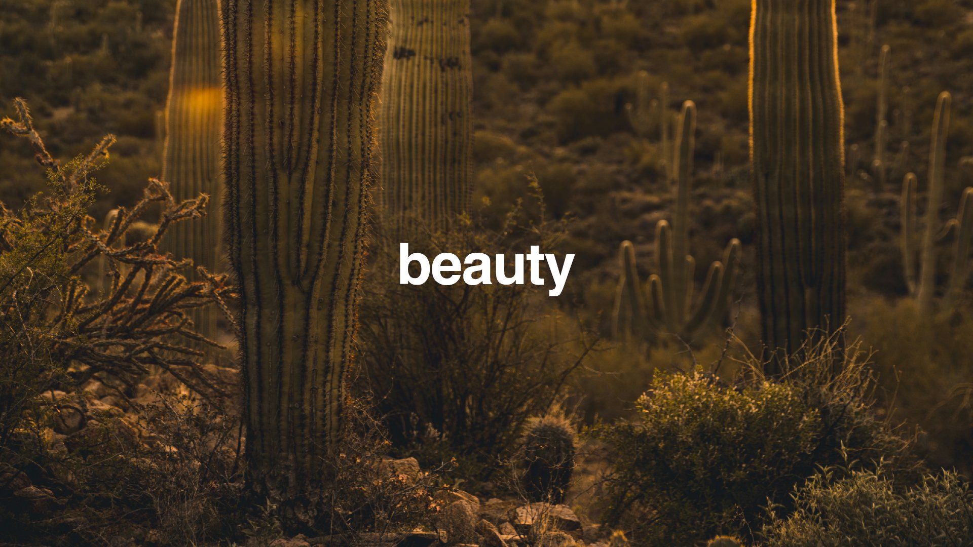 Beauty