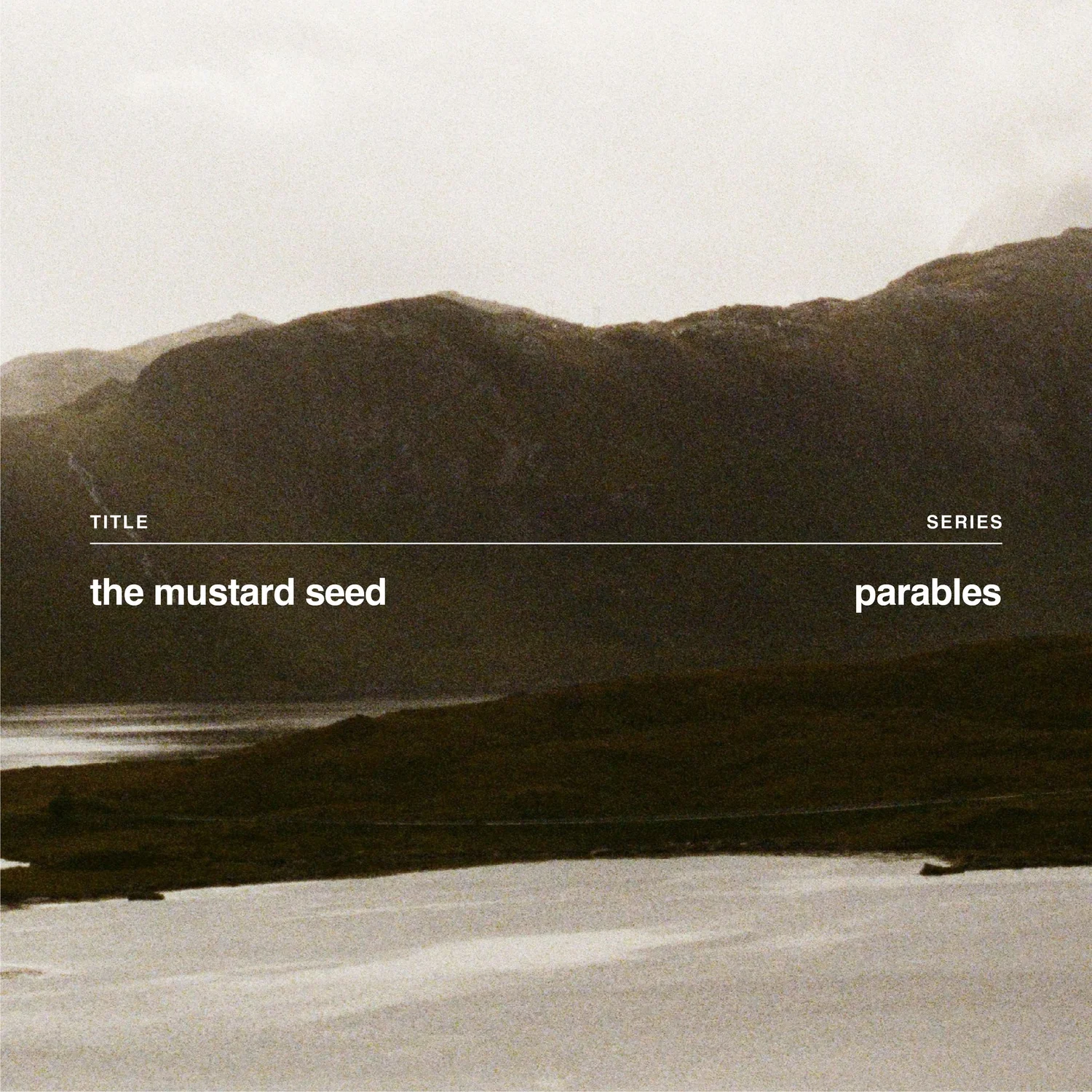 The Mustard Seed episode artwork
