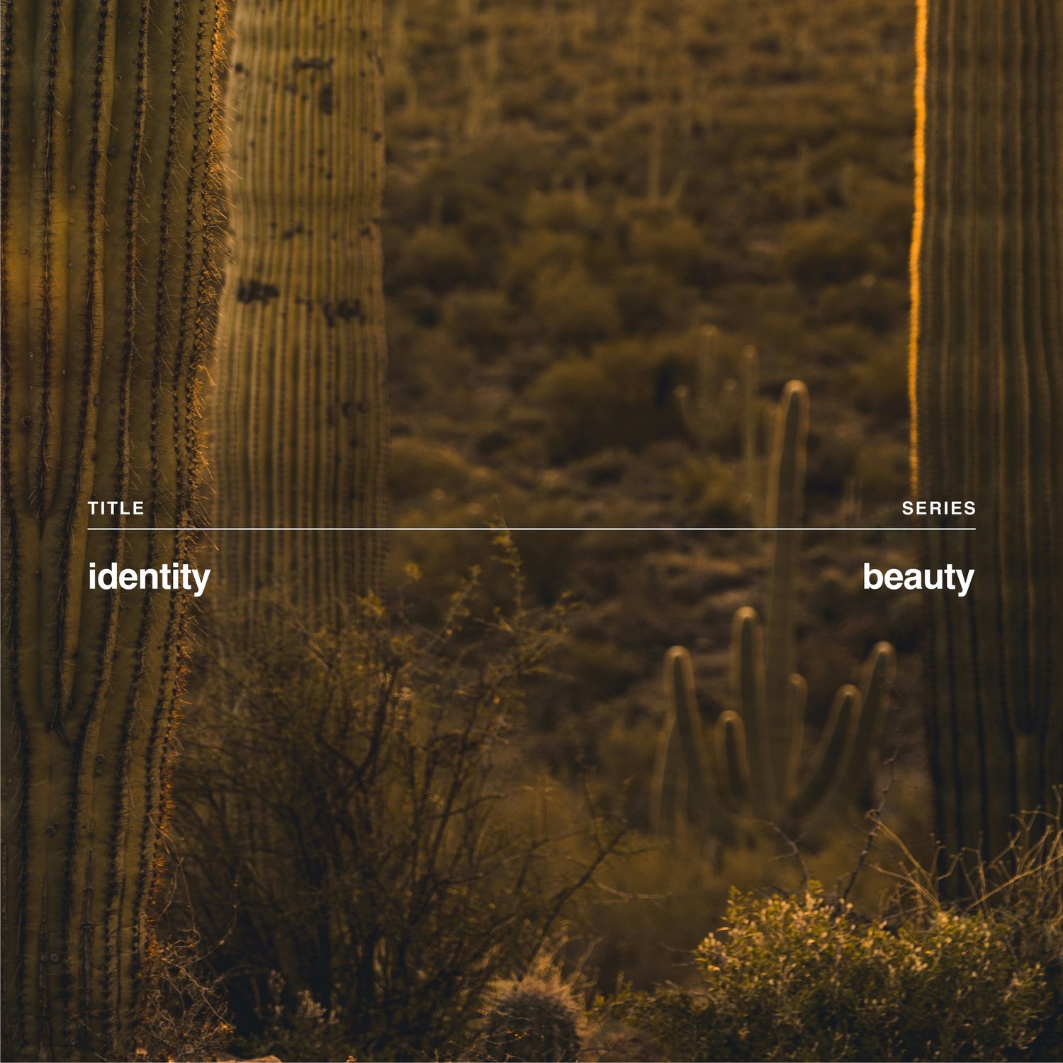 Identity episode artwork