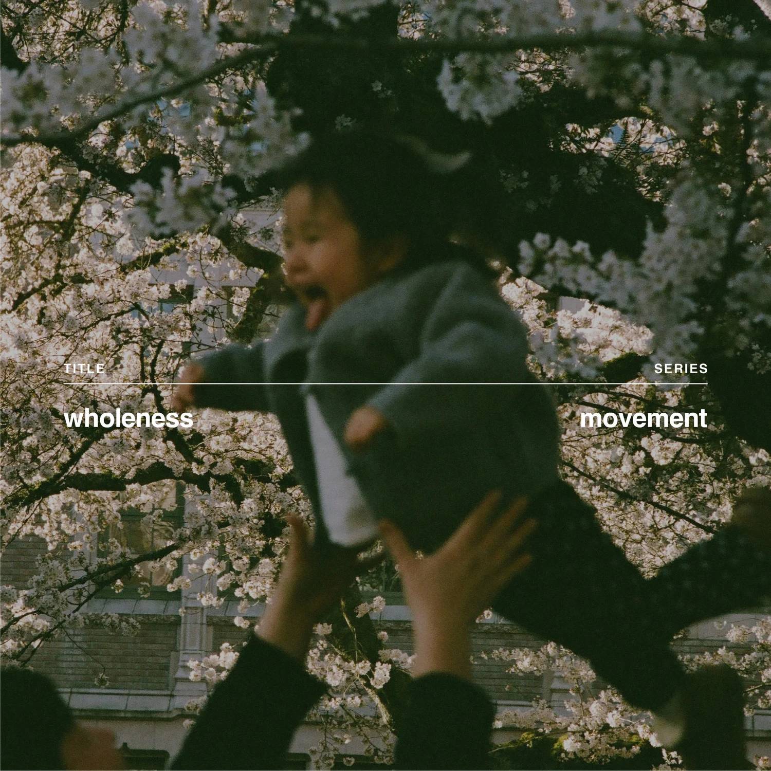 Wholeness episode artwork
