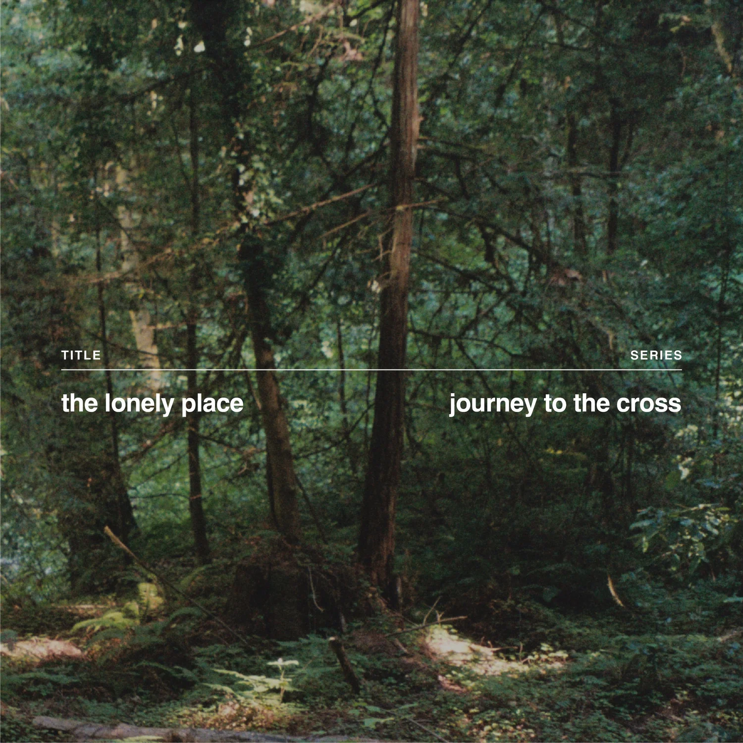 The Lonely Place episode artwork