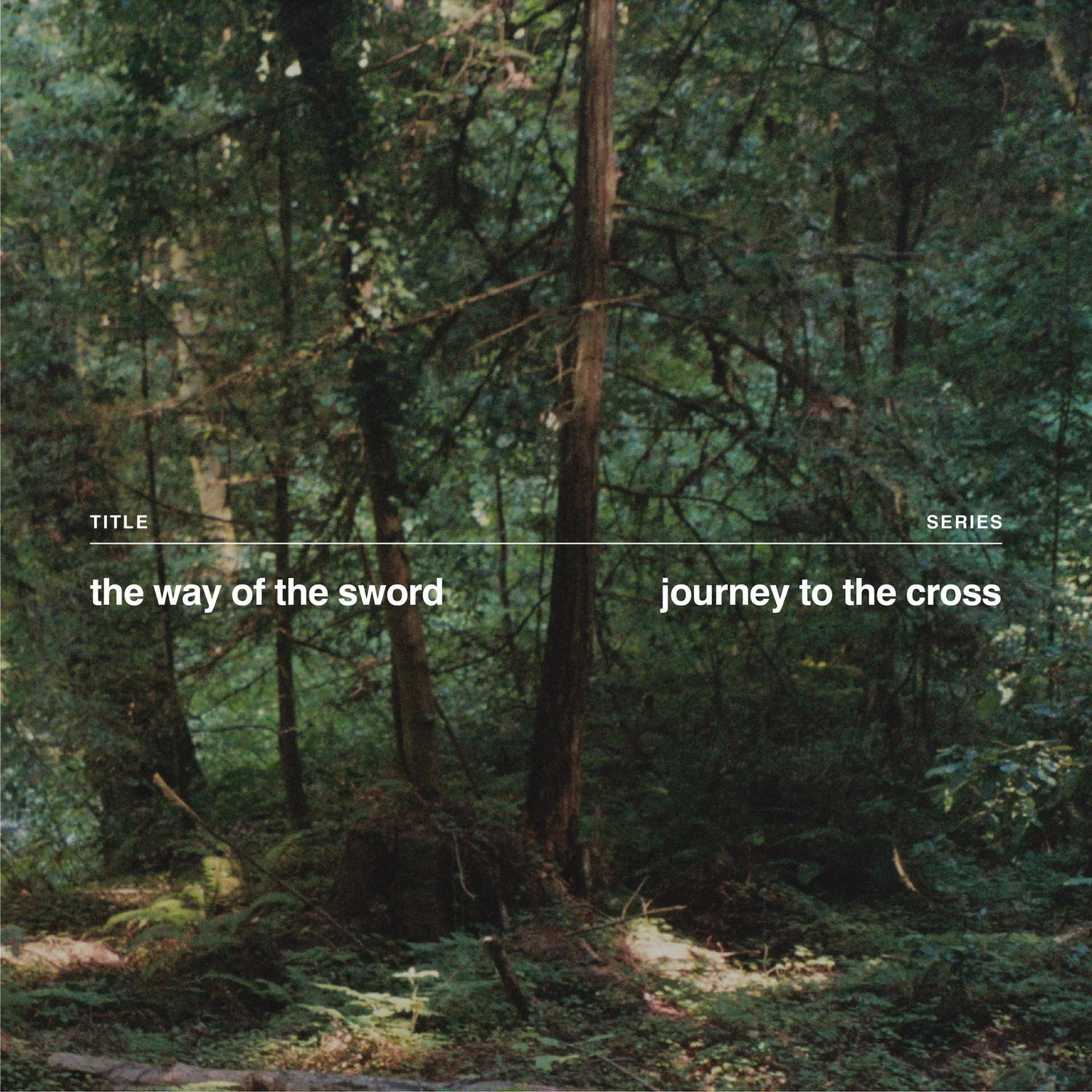 The Way of the Sword episode artwork