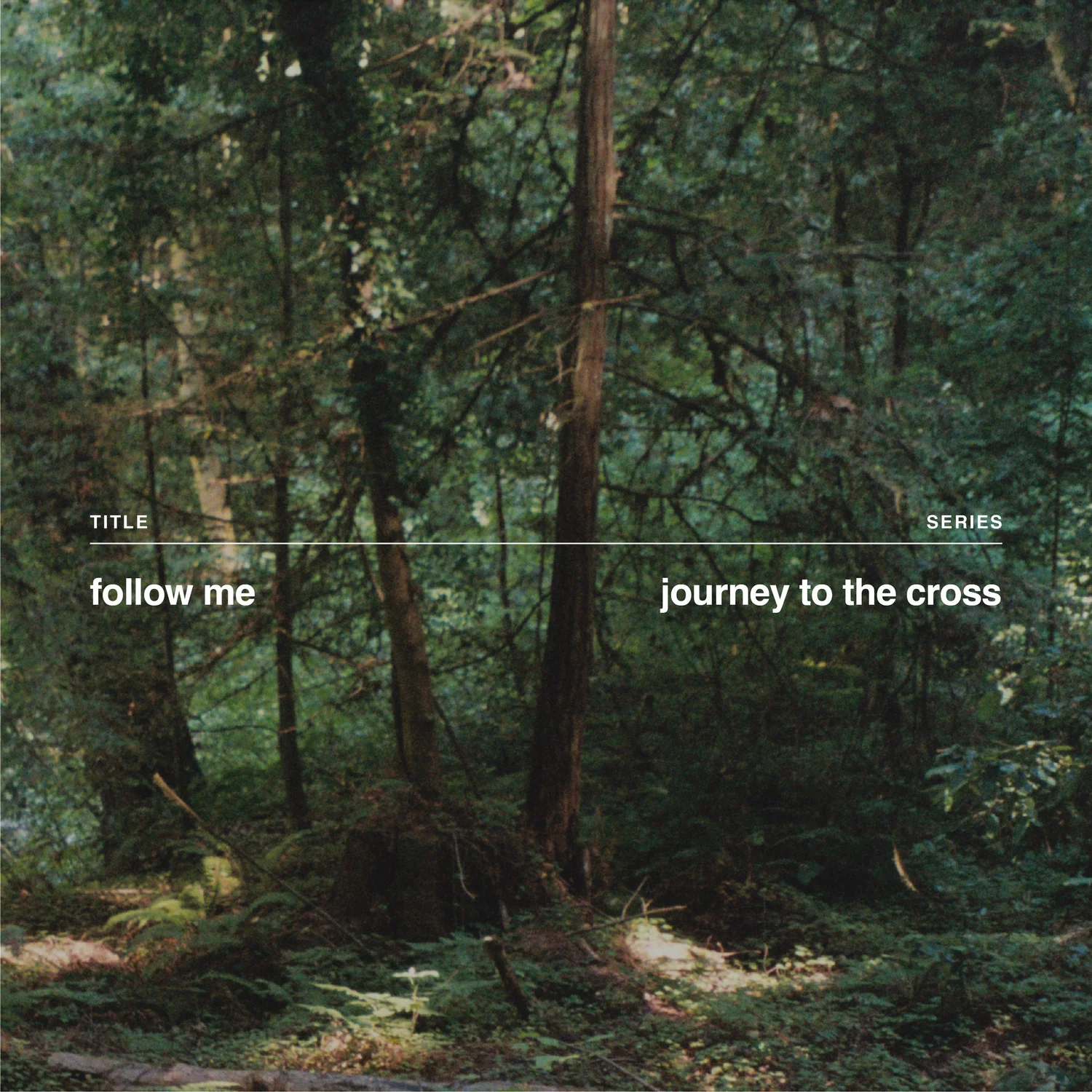 Follow Me episode artwork