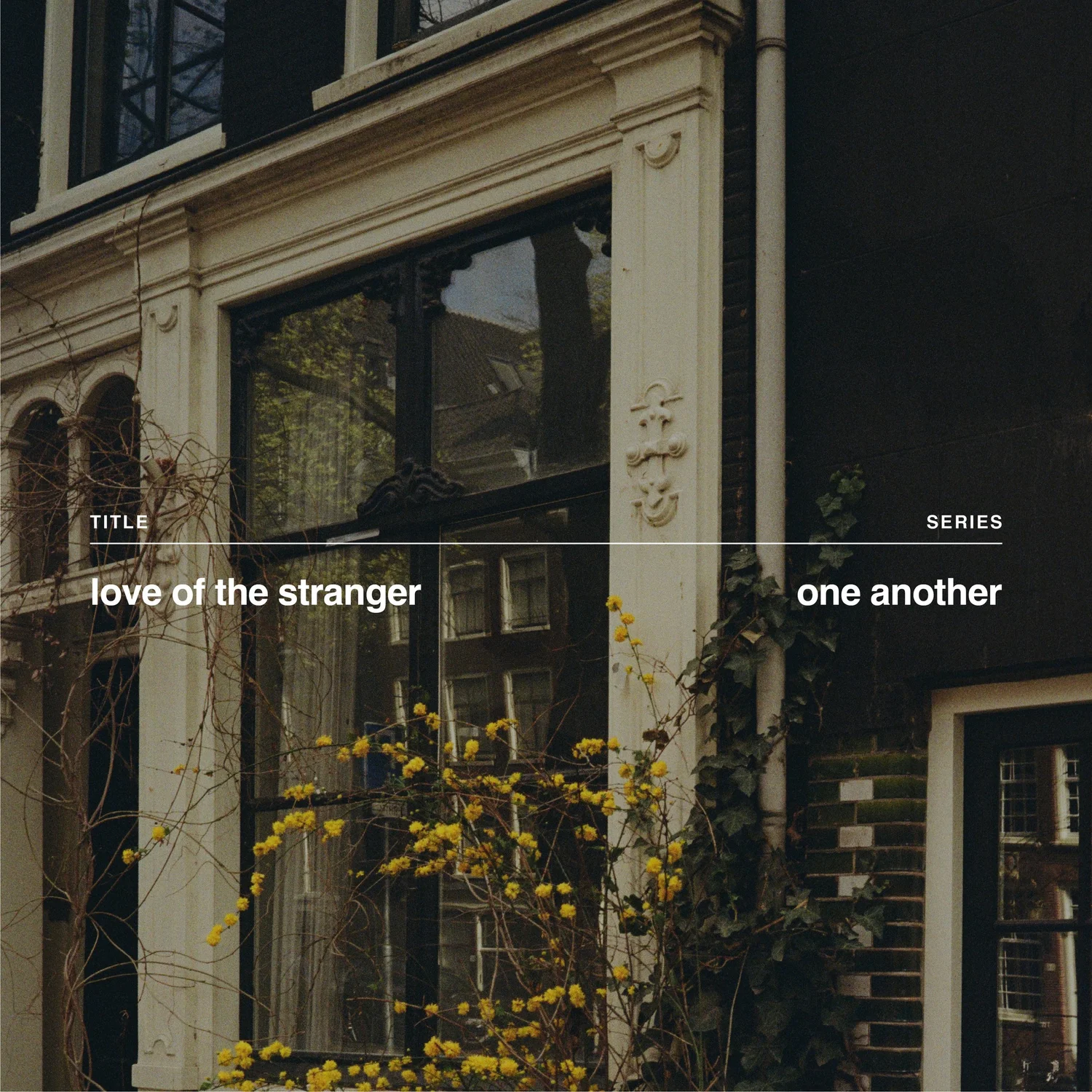 Love of the Stranger episode artwork