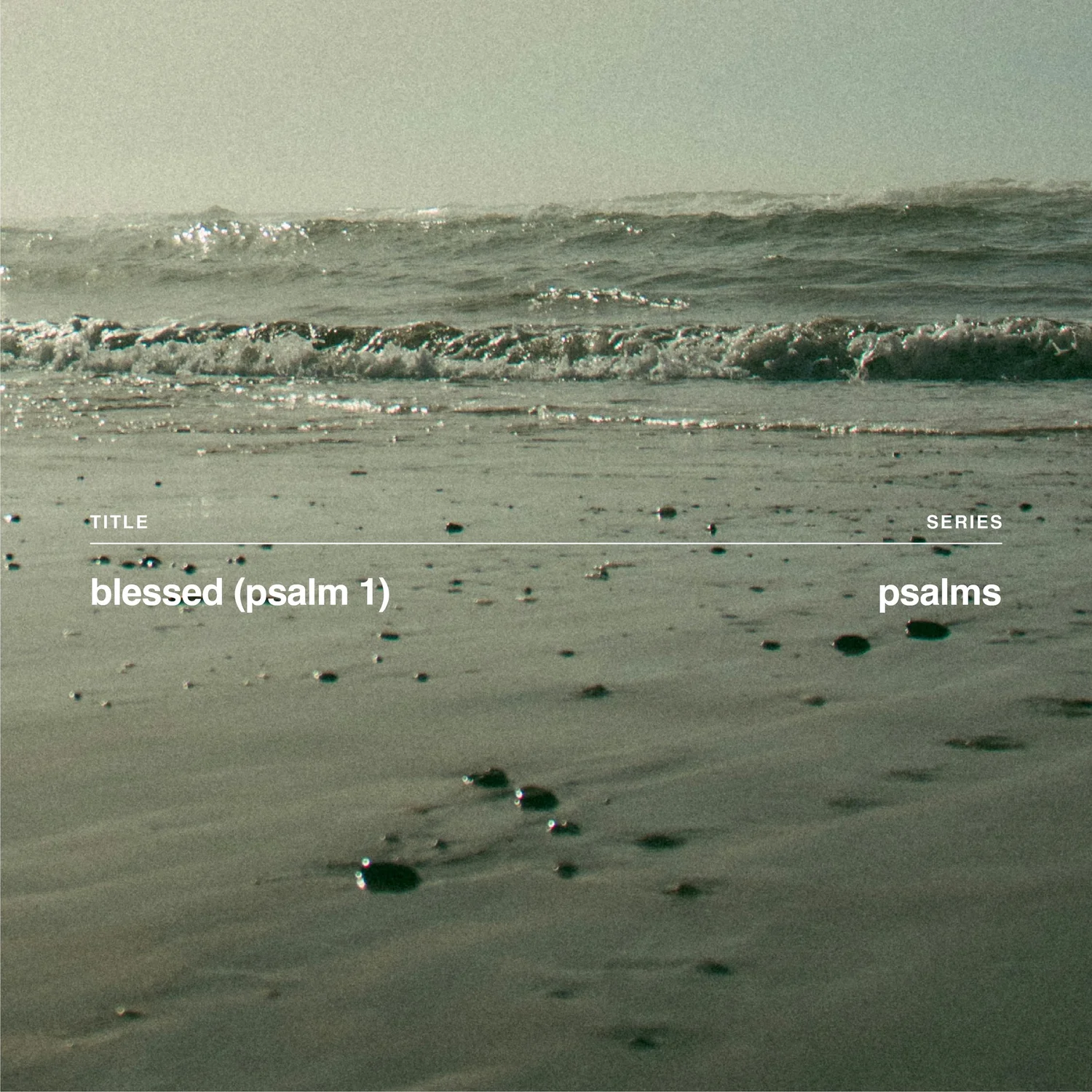 Blessed (Psalm 1) episode artwork