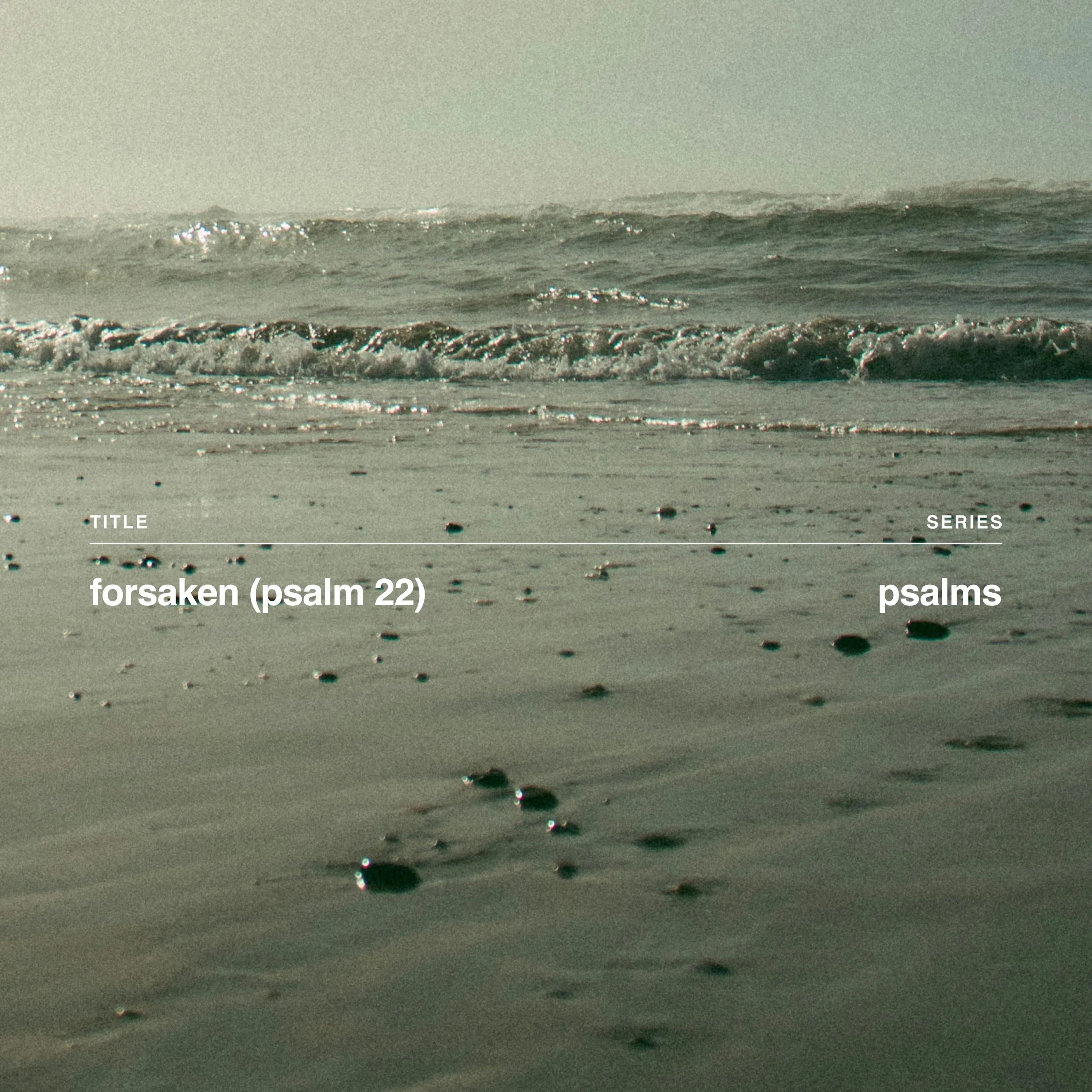 Forsaken (Psalm 22)