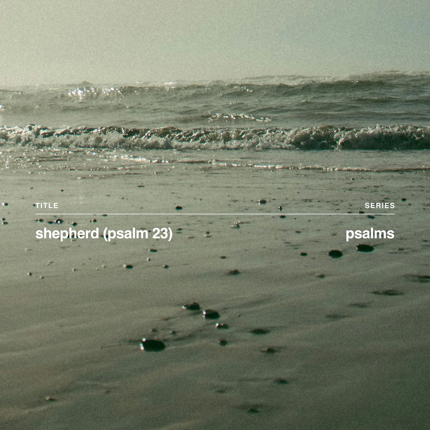 Shepherd (Psalm 23) episode artwork