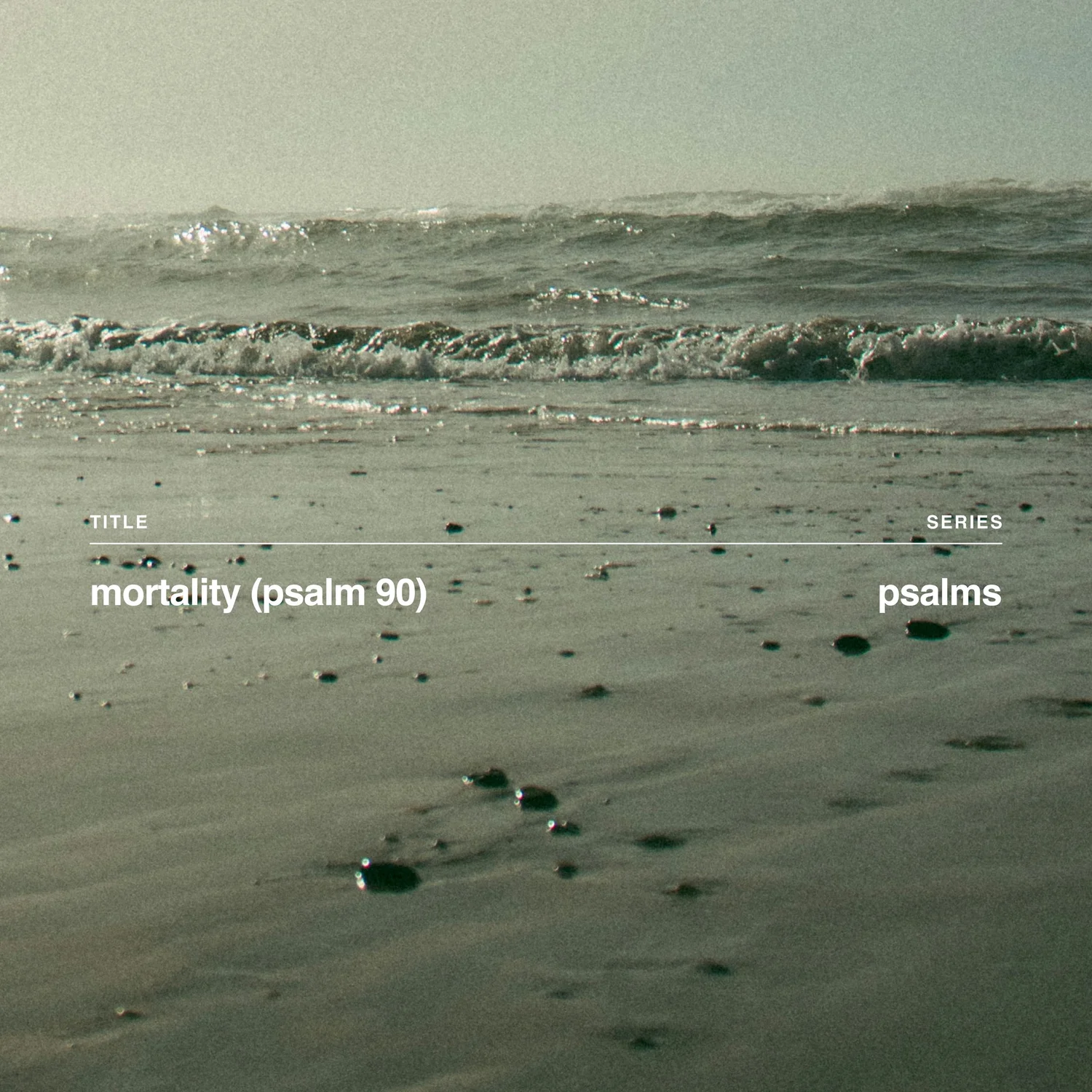 Mortality (Psalm 90) episode artwork