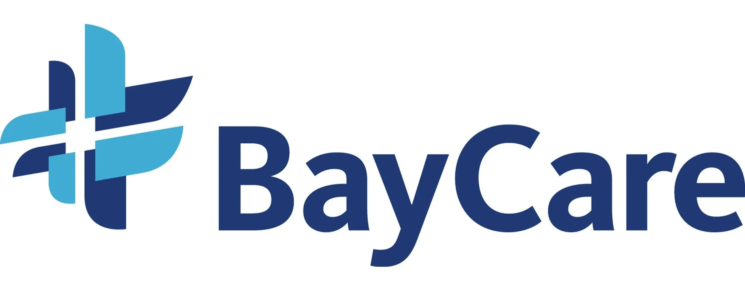 Bayer logo with blue abstract symbol and the company name in navy blue text.