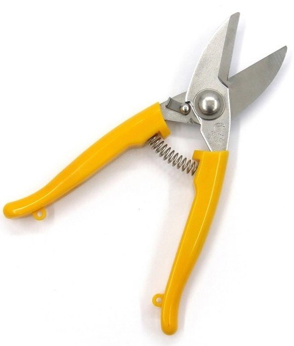 Yellow Mono Cutters.jpg