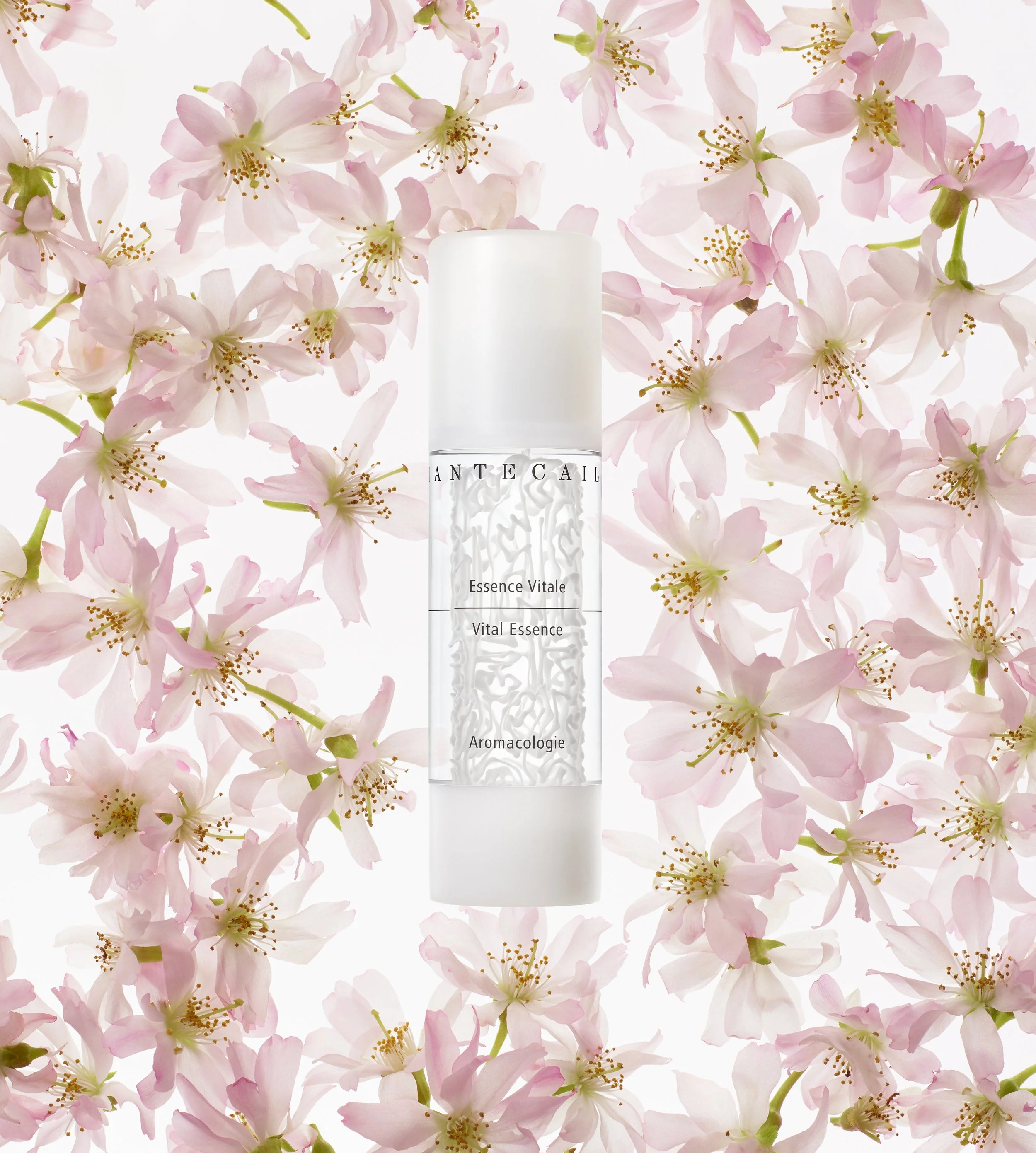 A white skincare bottle labeled 'Essence Vitale, Vital Essence, Aromacologie' surrounded by pink cherry blossoms.