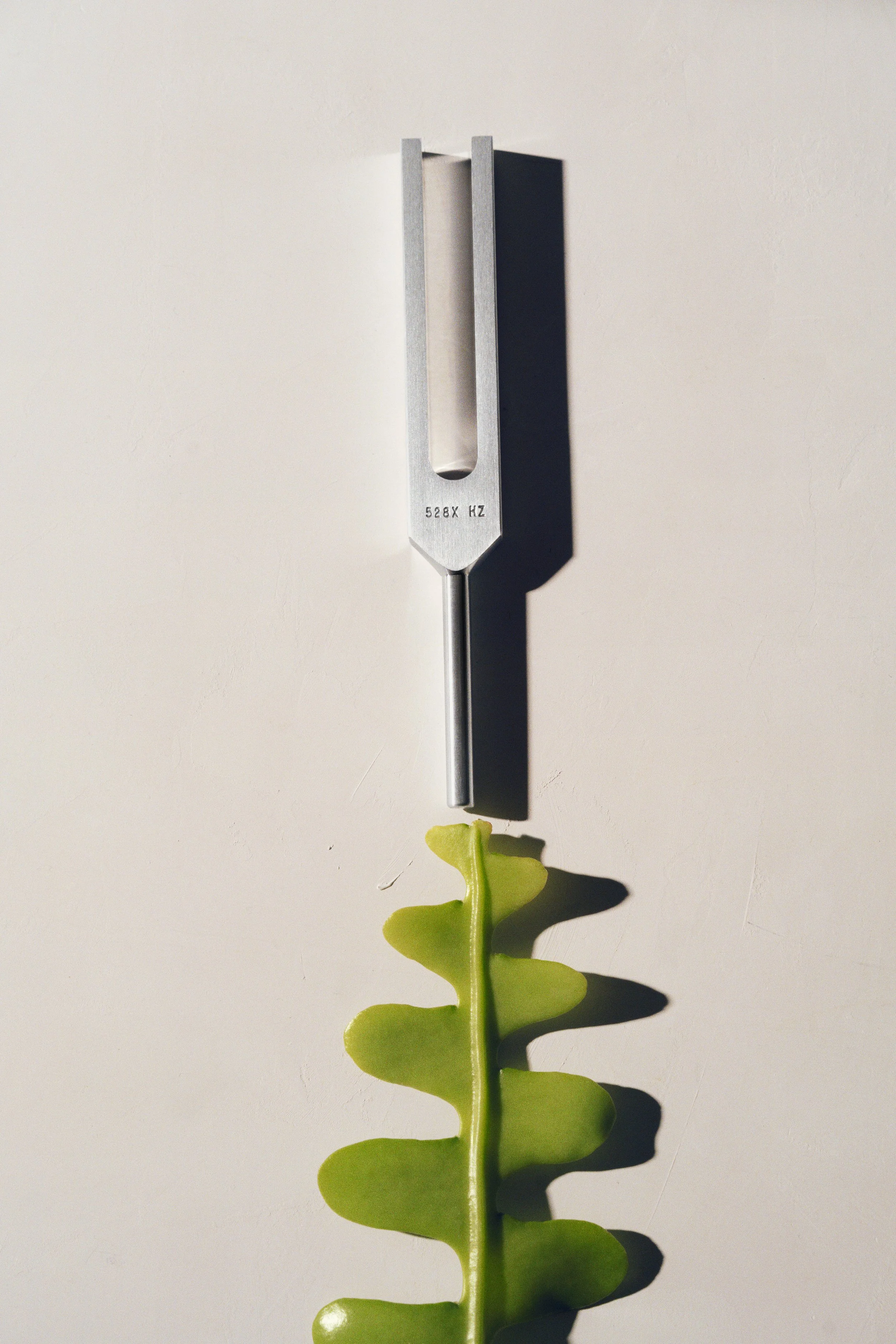 A tuning fork held above a green leaf, casting a shadow on a white surface.
