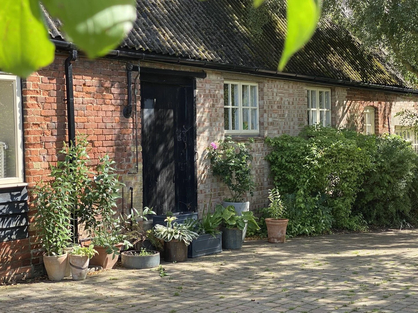 Old Stables Leaf summer.JPG