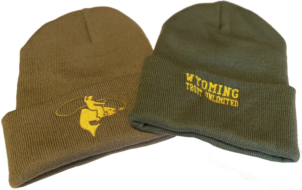 Beanies2.jpeg