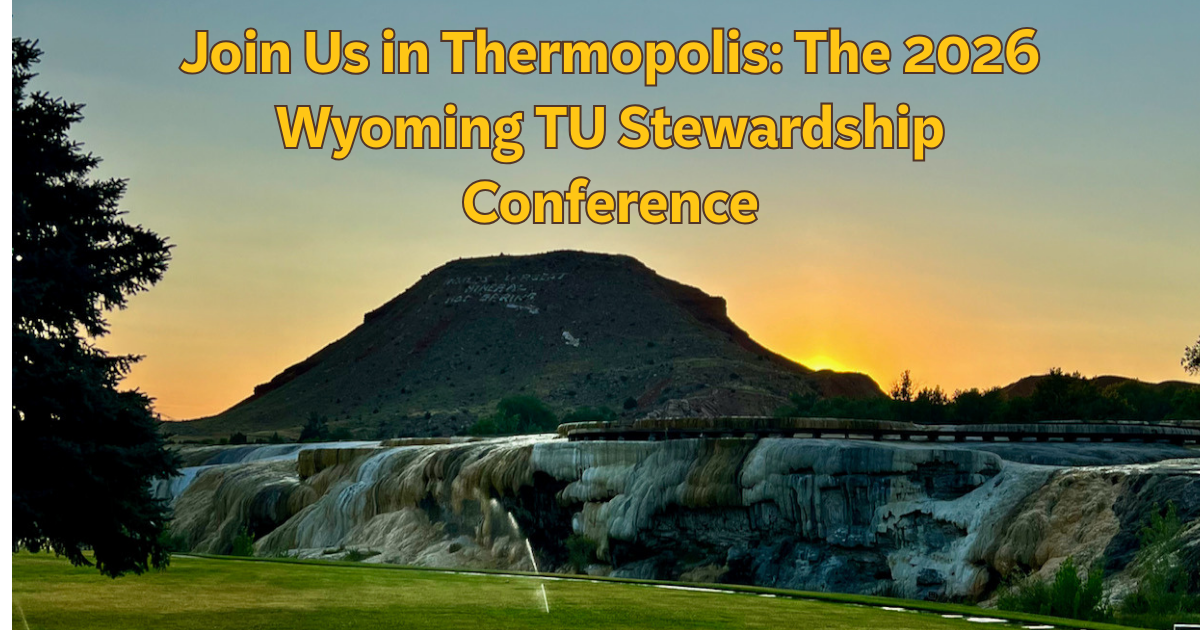 Join Us in Thermopolis: The 2026 Wyoming TU Stewardship Conference