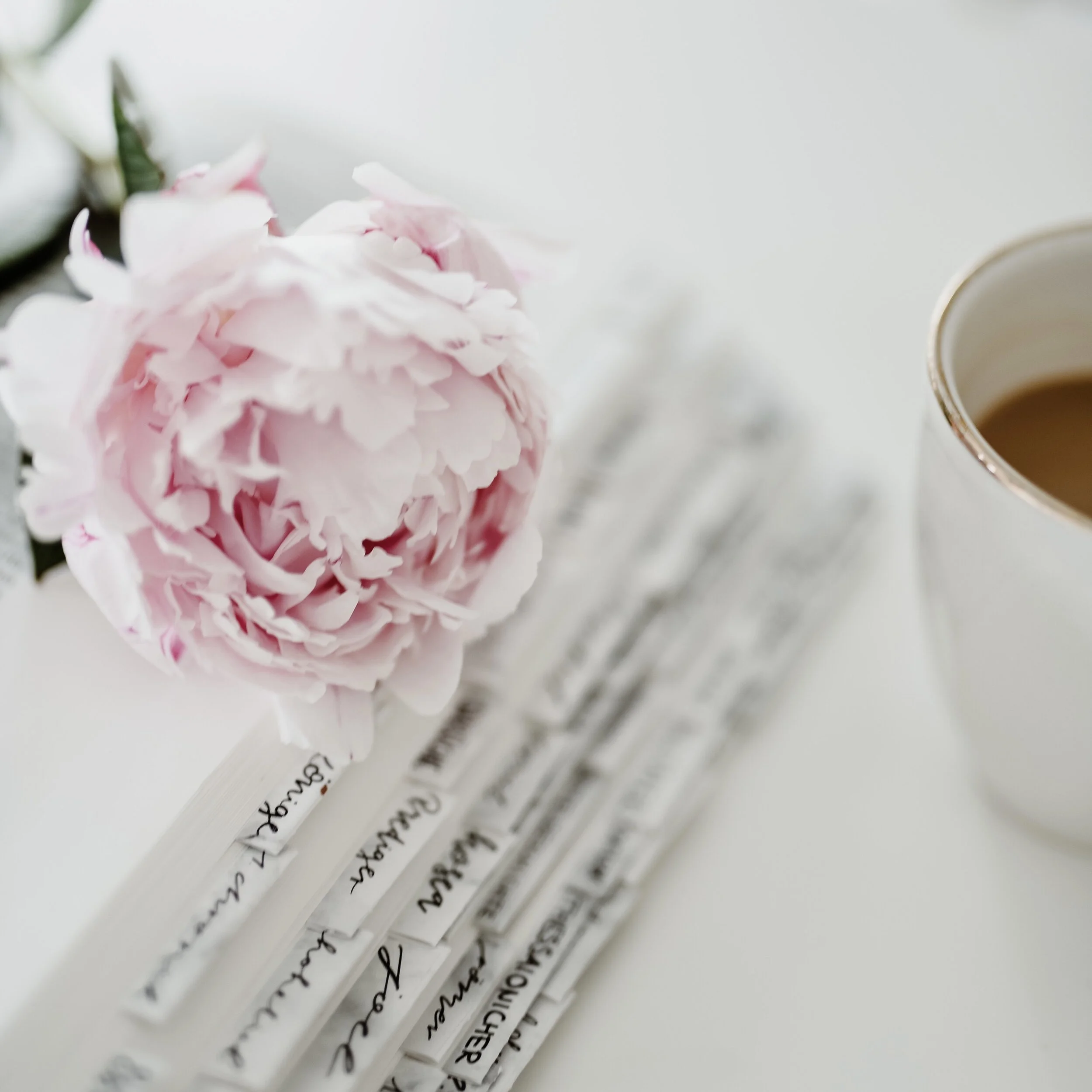 Episode 9: When Reading the Bible Doesn’t Feel Helpful