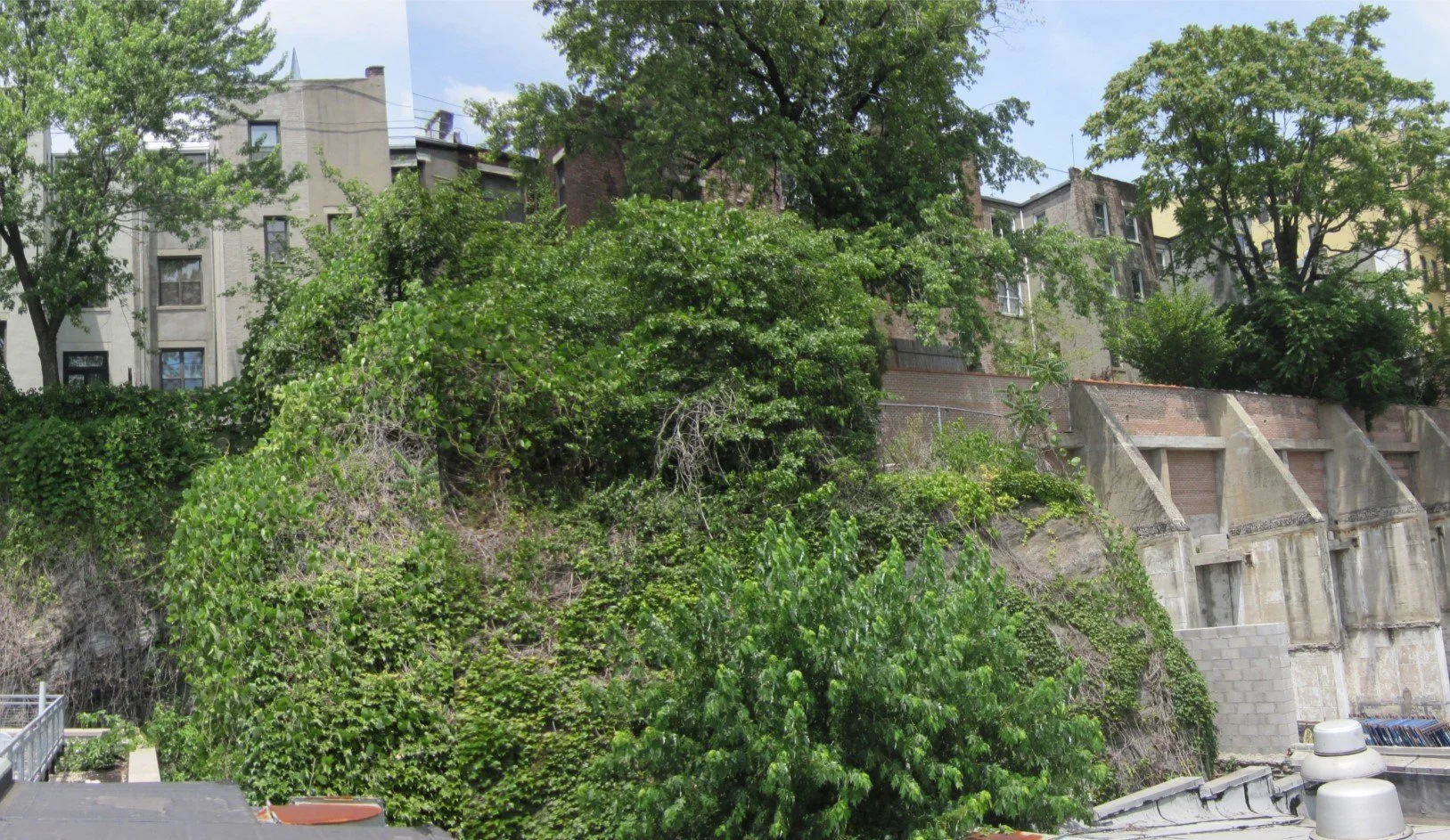 View of Site.jpg