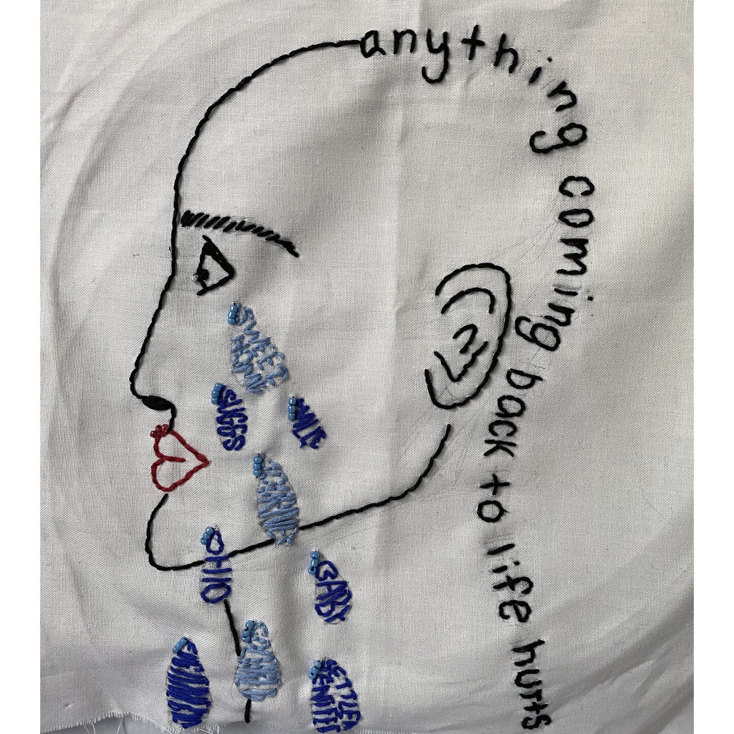 Emilia Z.
"Pain of the Past"
I originally had a very different idea for my piece of embroidery. I was going to take it more toward sexism and the civil rights movement and focus less on Beloved. But as we read more and more of the book, I truly beg