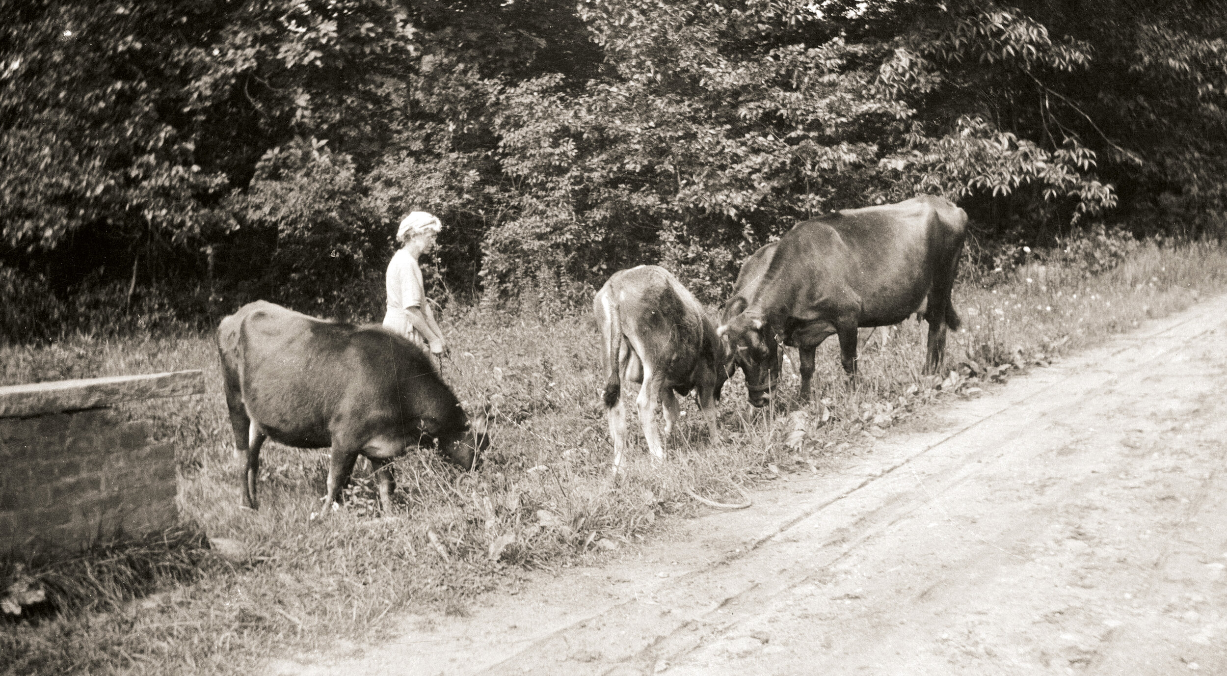 Wood-Bertha w-cows Lake St.jpg