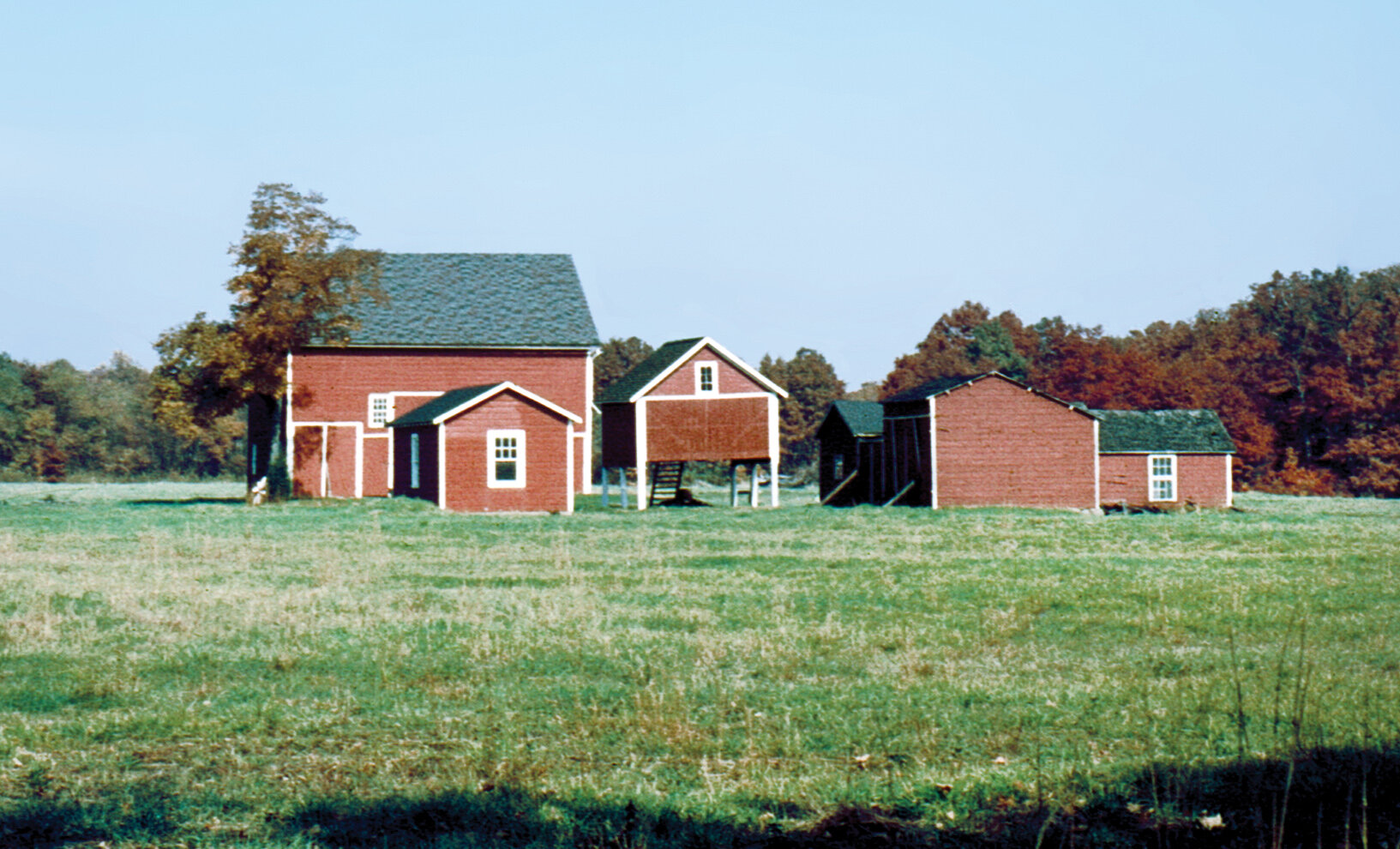 6-33 Berdan barn fall cropped.jpg