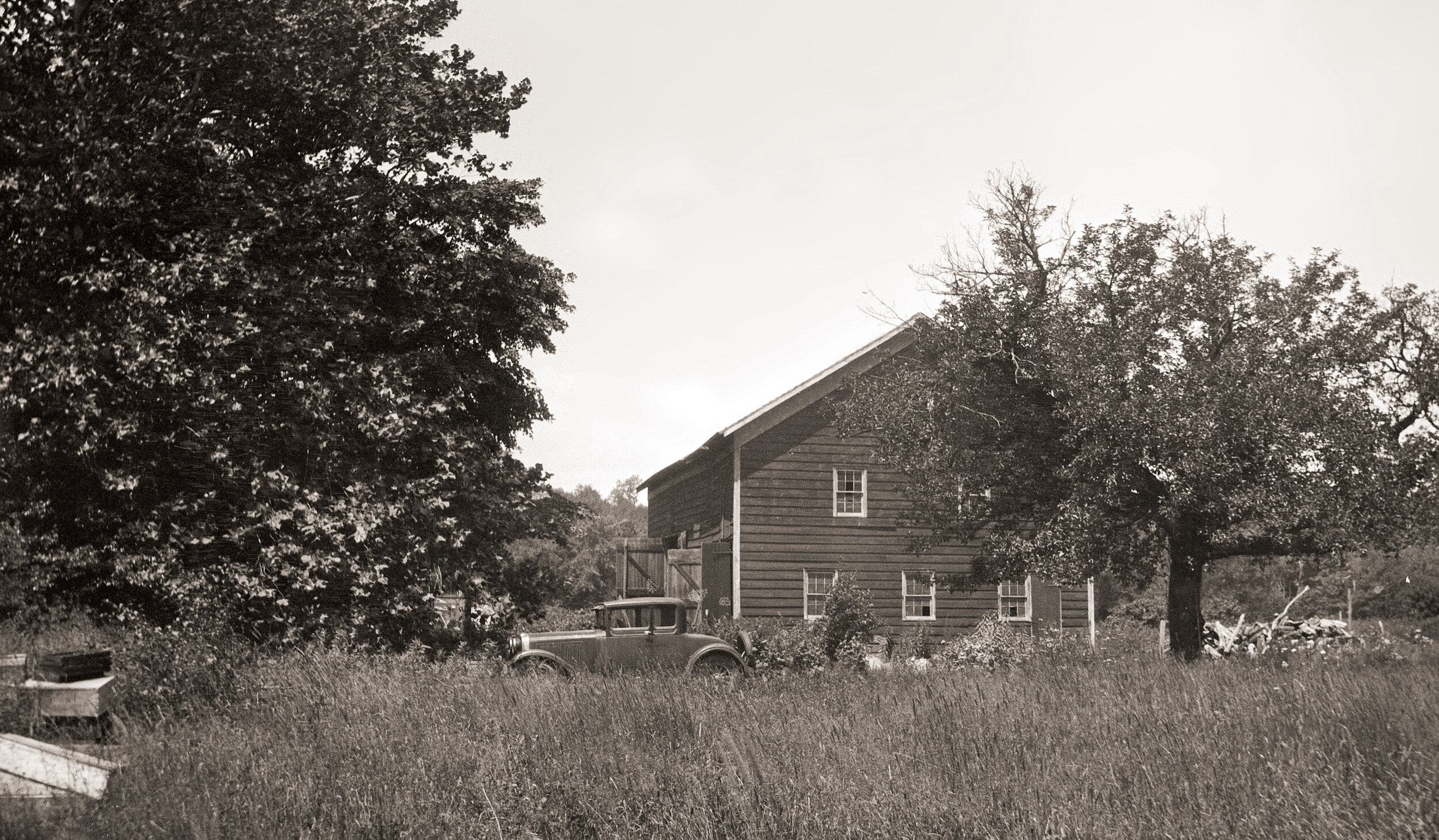 Wood-barn, car, beehives.jpg