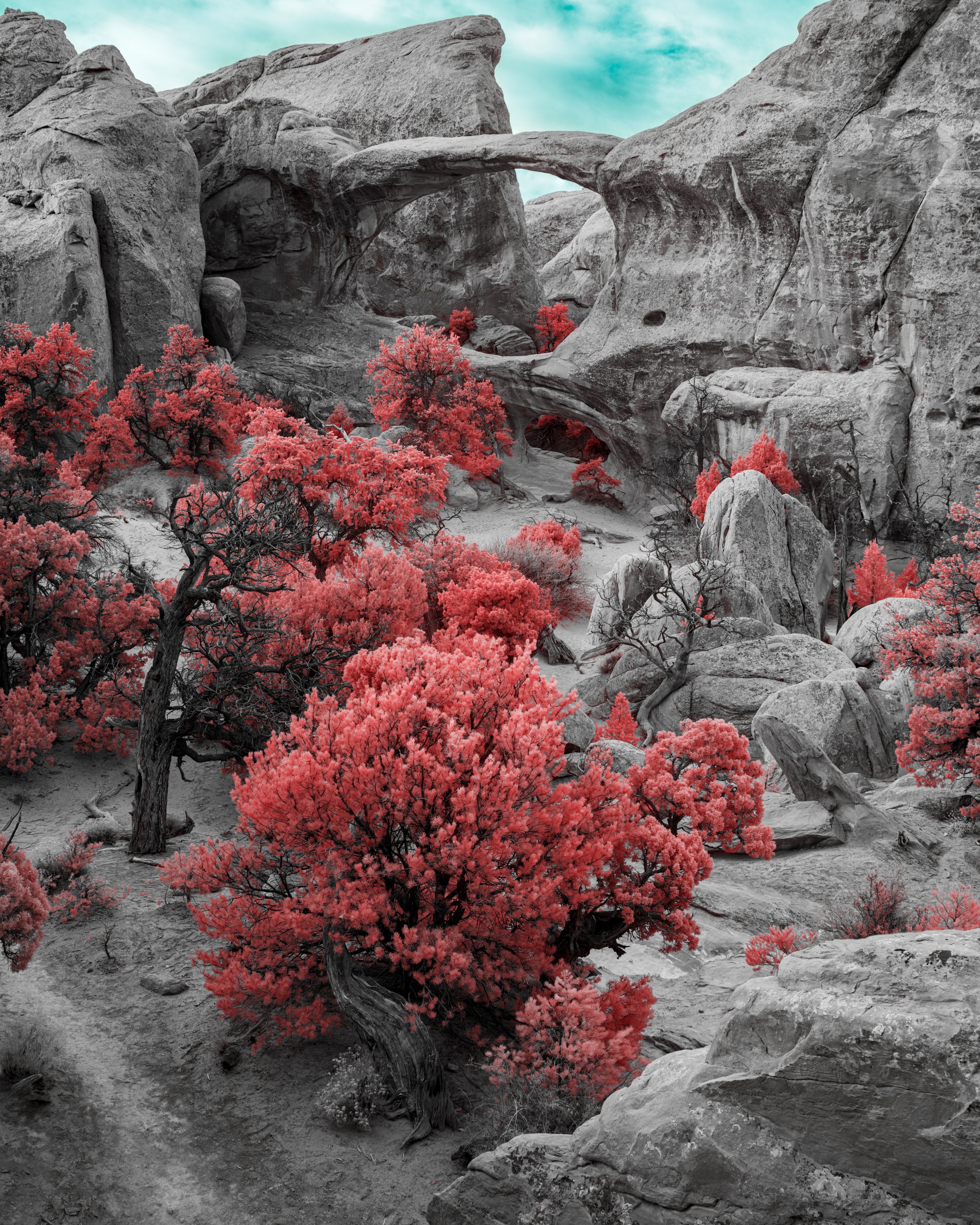 Desert landscape with large gray rock formations, a natural rock arch, and bright red trees scattered across the terrain under a cloudy sky.