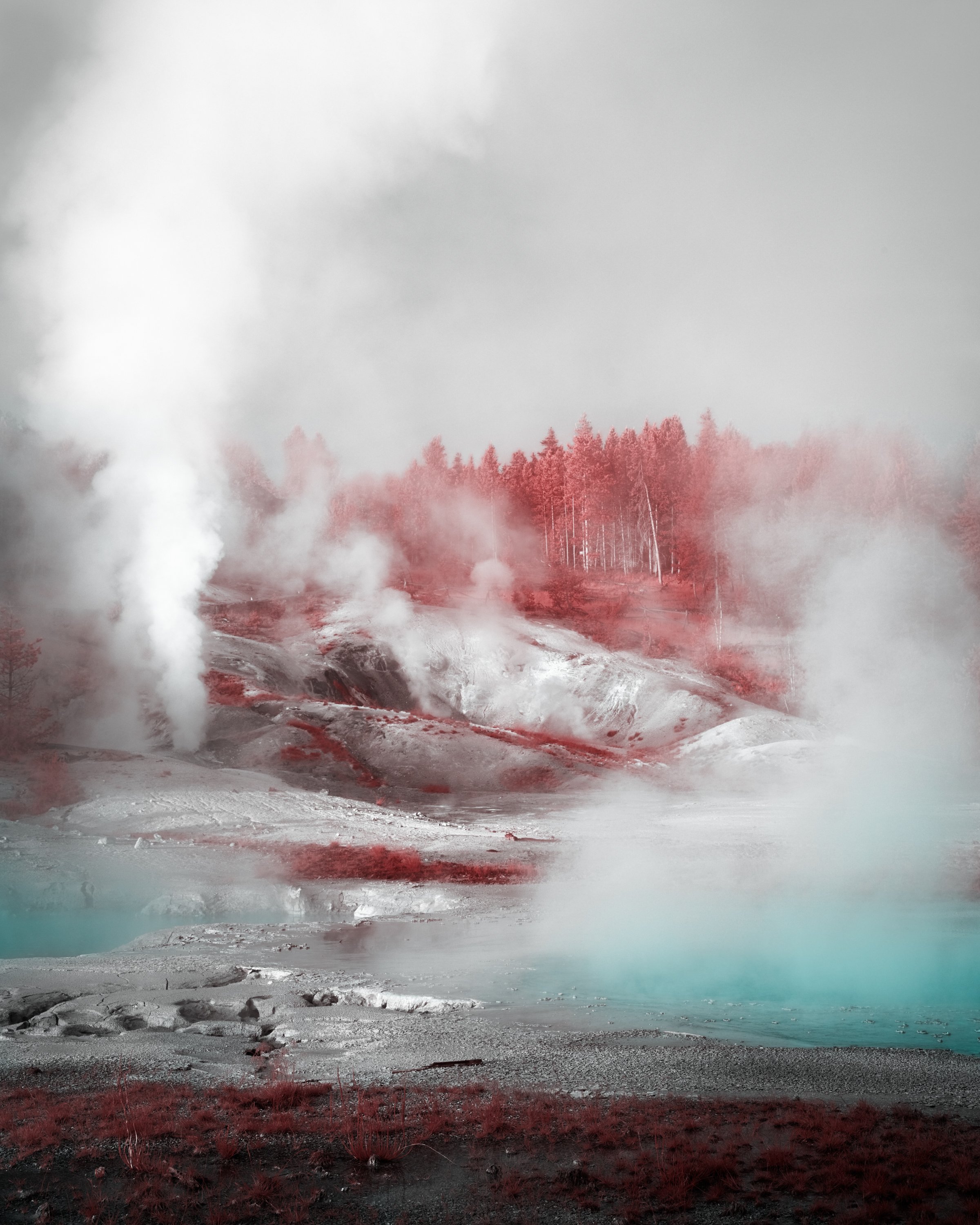 A geothermal area with steaming vents, smoky clouds, colored land, and a background of trees.