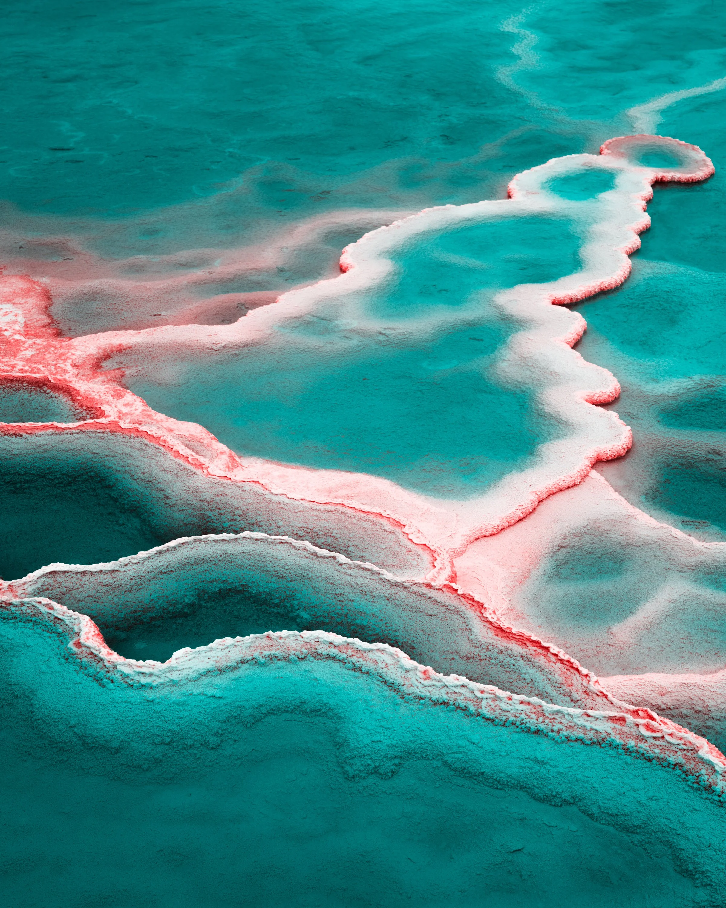 Colorful geothermal pools with pink and white edges in a desert landscape.