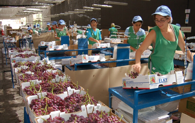 El proyecto de 40 horas y los efectos de reducir la jornada laboral en Chile