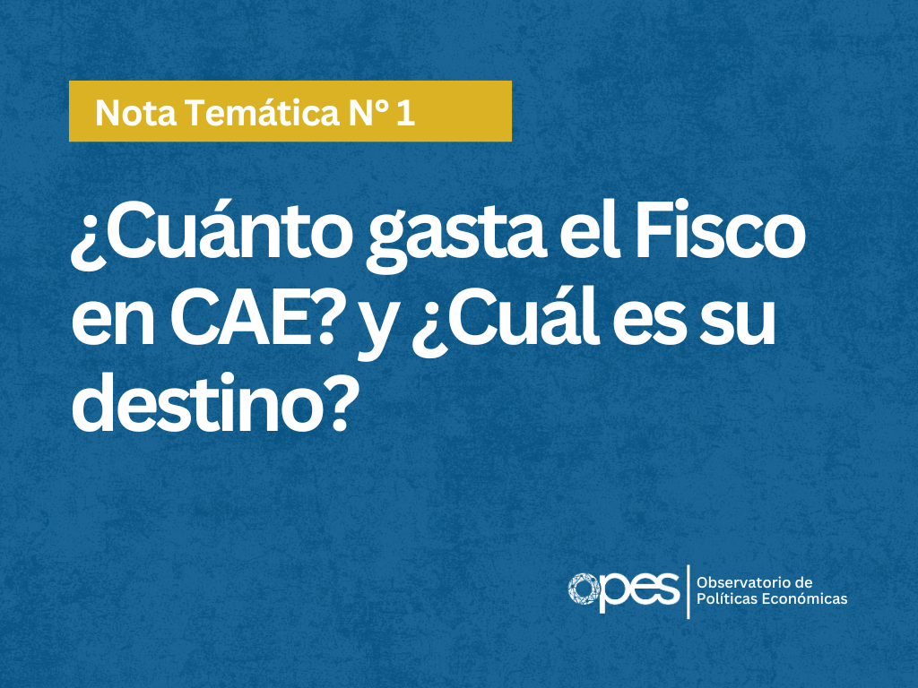 NOTA TEMÁTICA N°1 - CAE