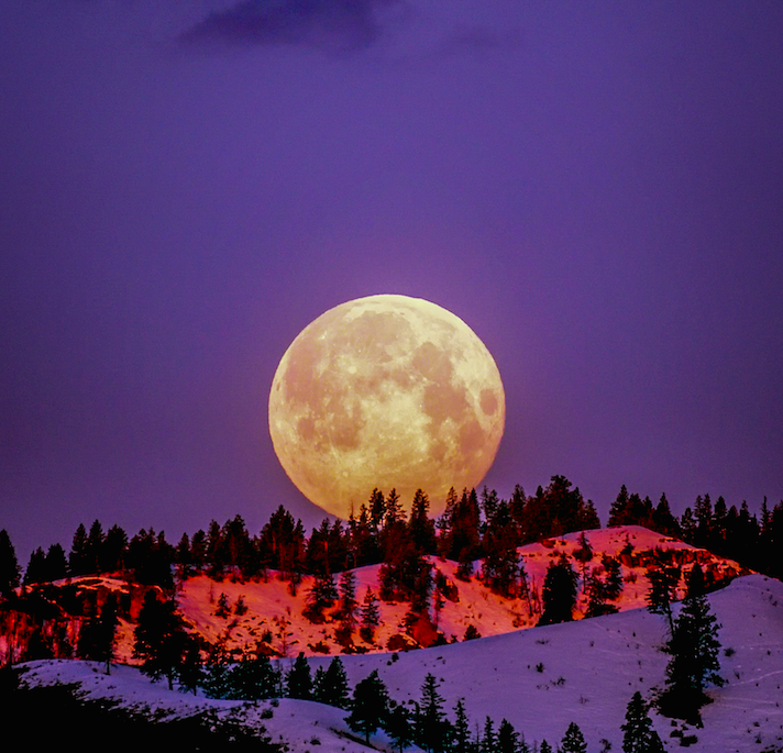 Plus Ça Change – Sept 2024